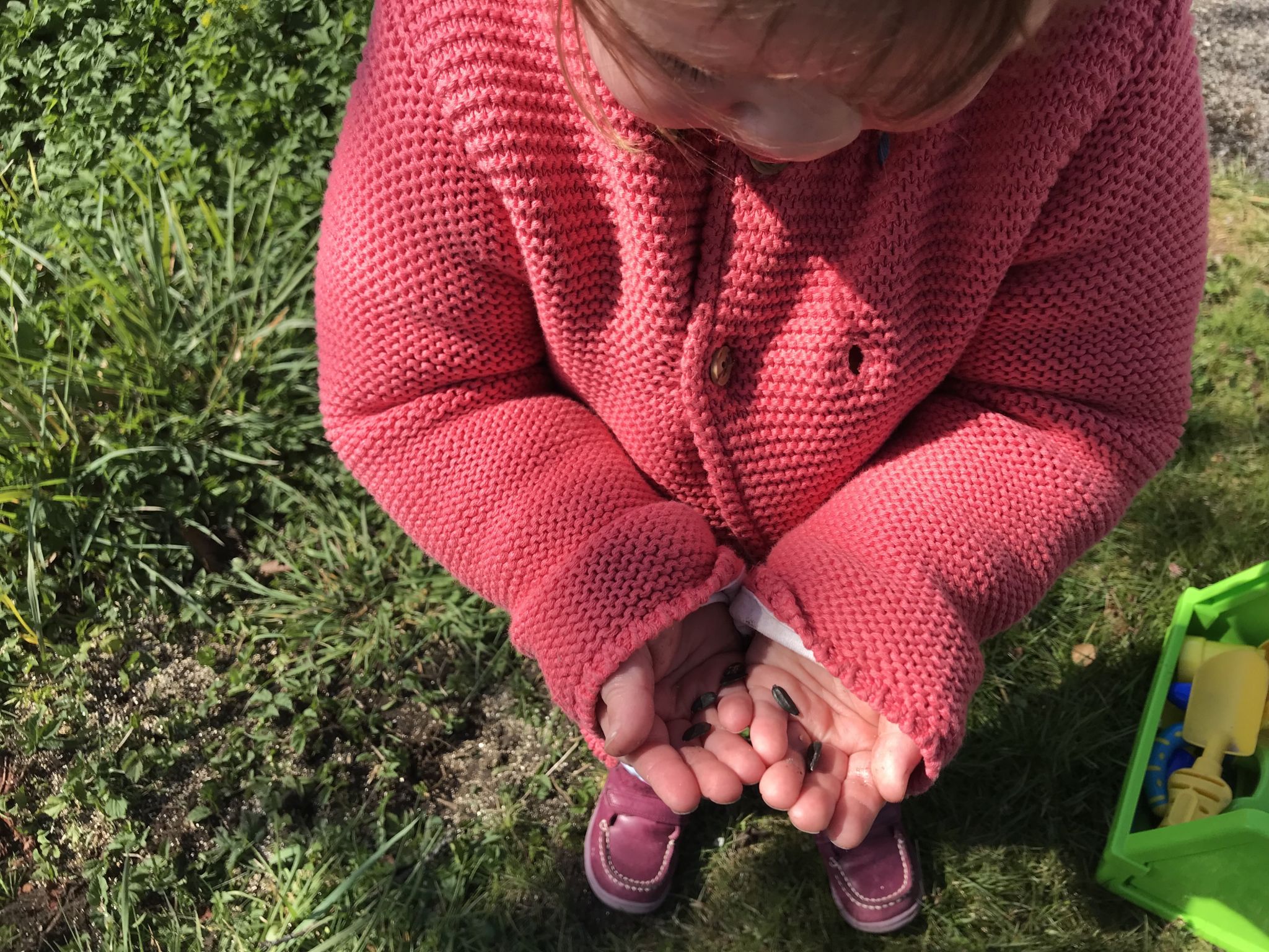a toddler holding sunflower seeds in her hands