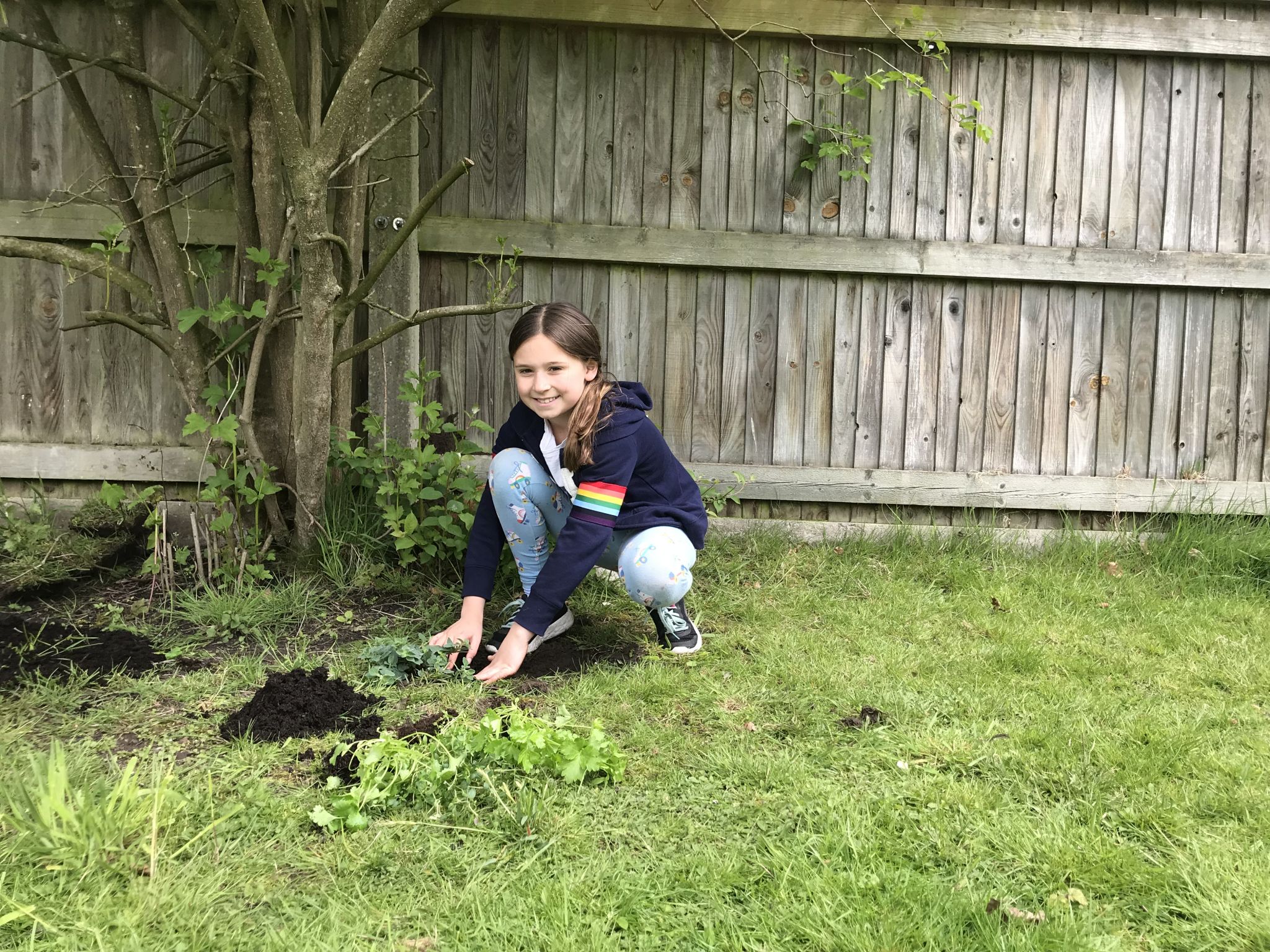a child planting herbs in a garden