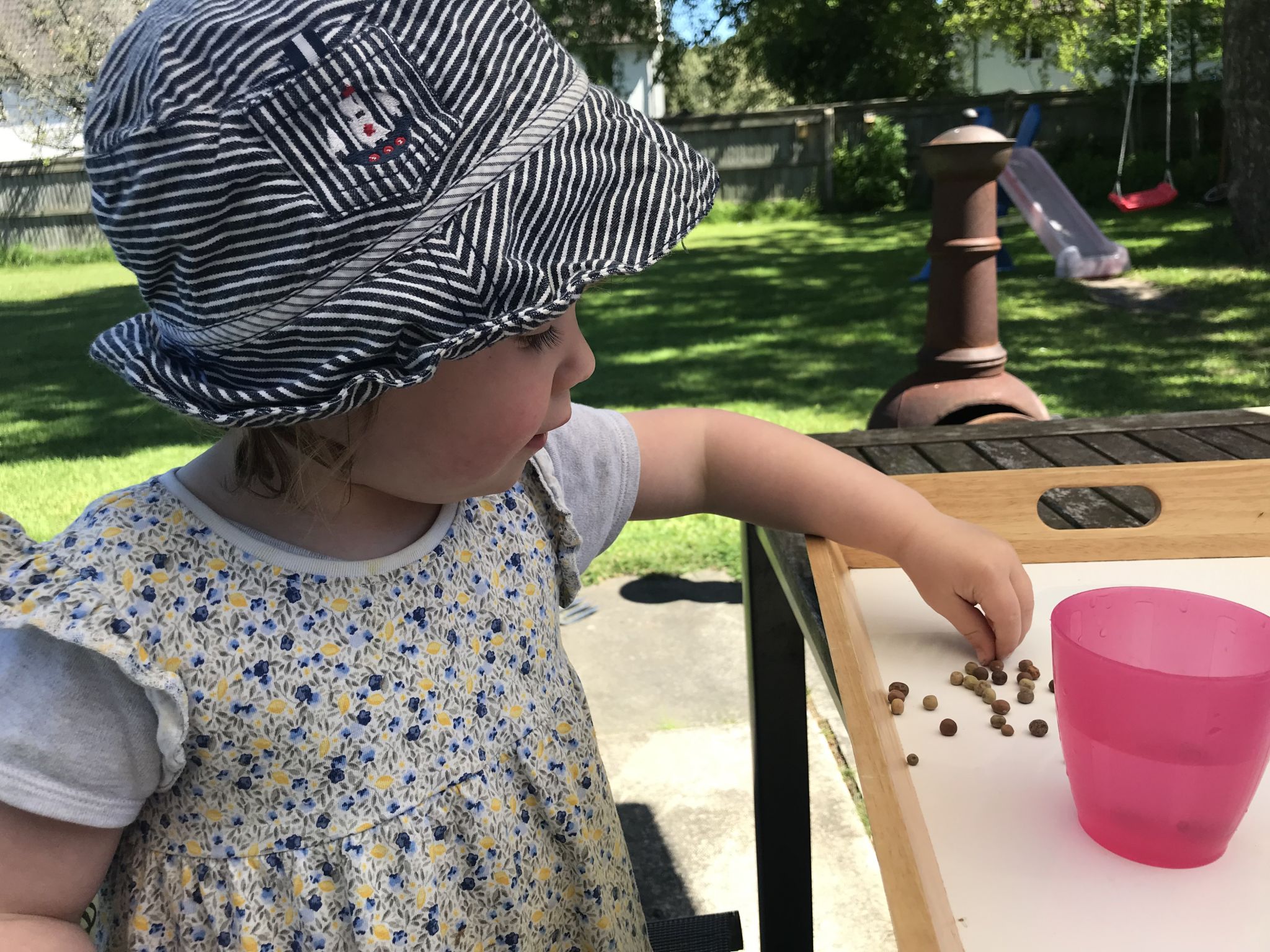A child picking up seeds in the garden