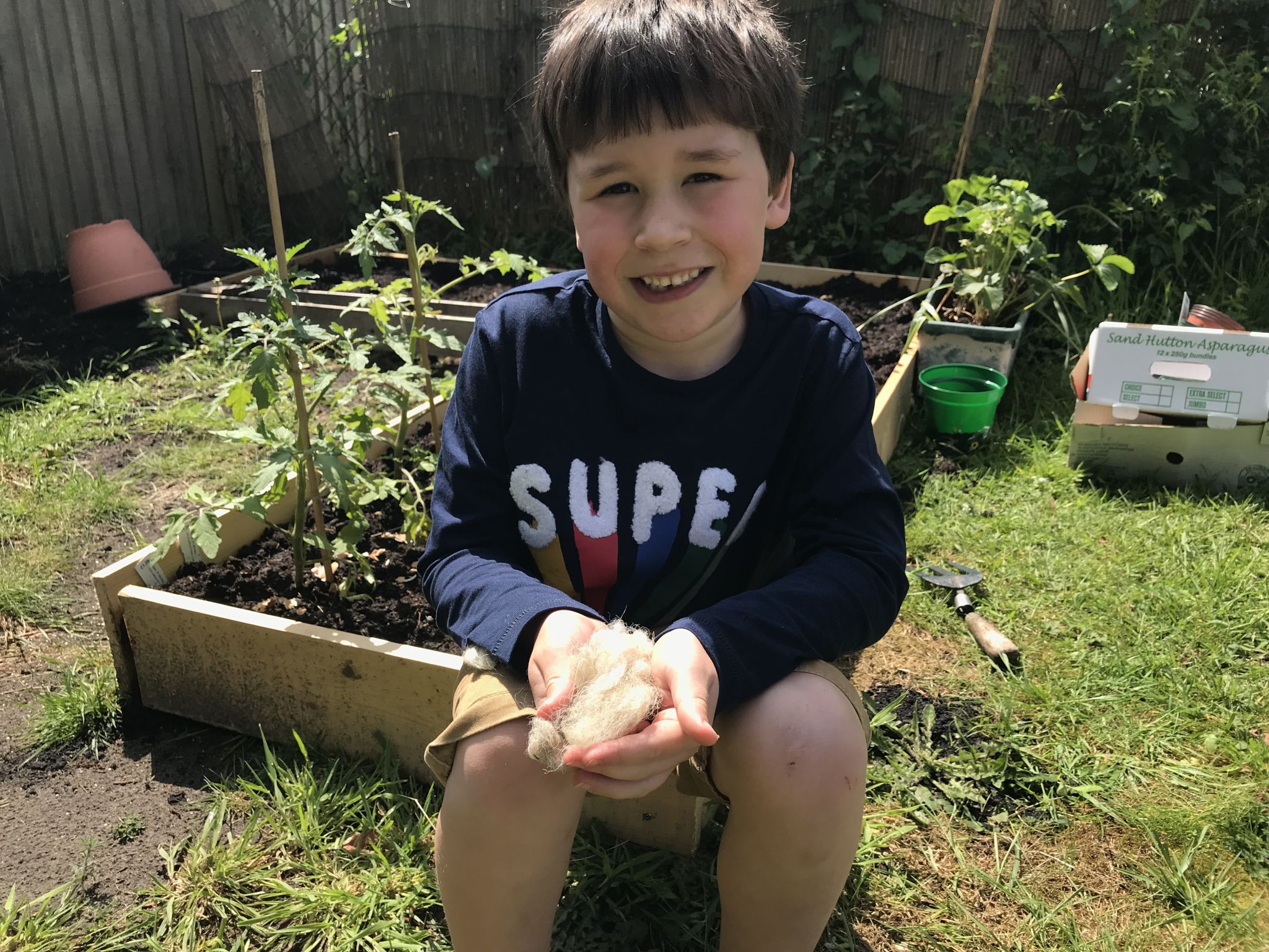 a boy holding sheeps wool in the garden
