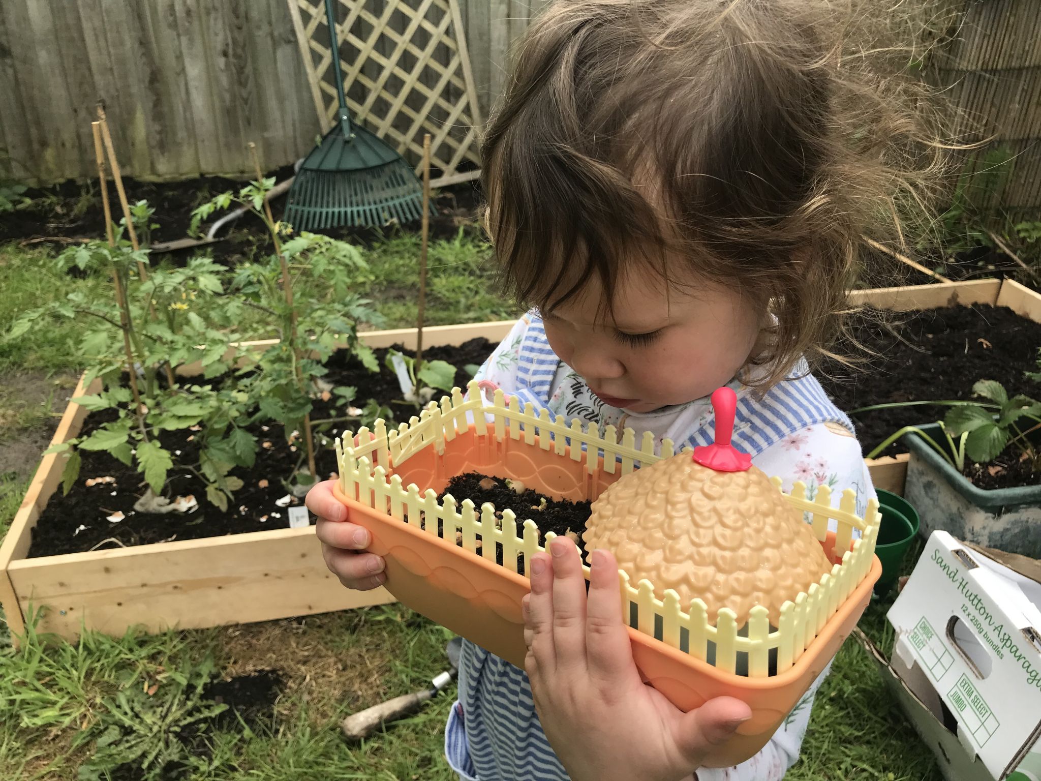 A child holding a toy fairy garden