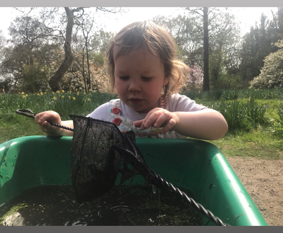 a young toddler pond dipping
