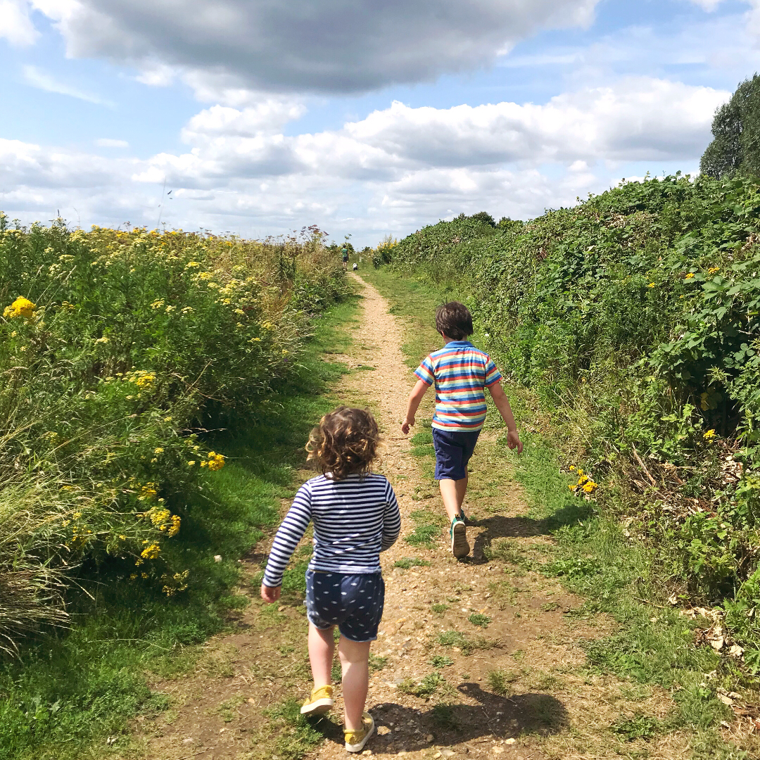 Two children out for a walk in a field in the sunshine