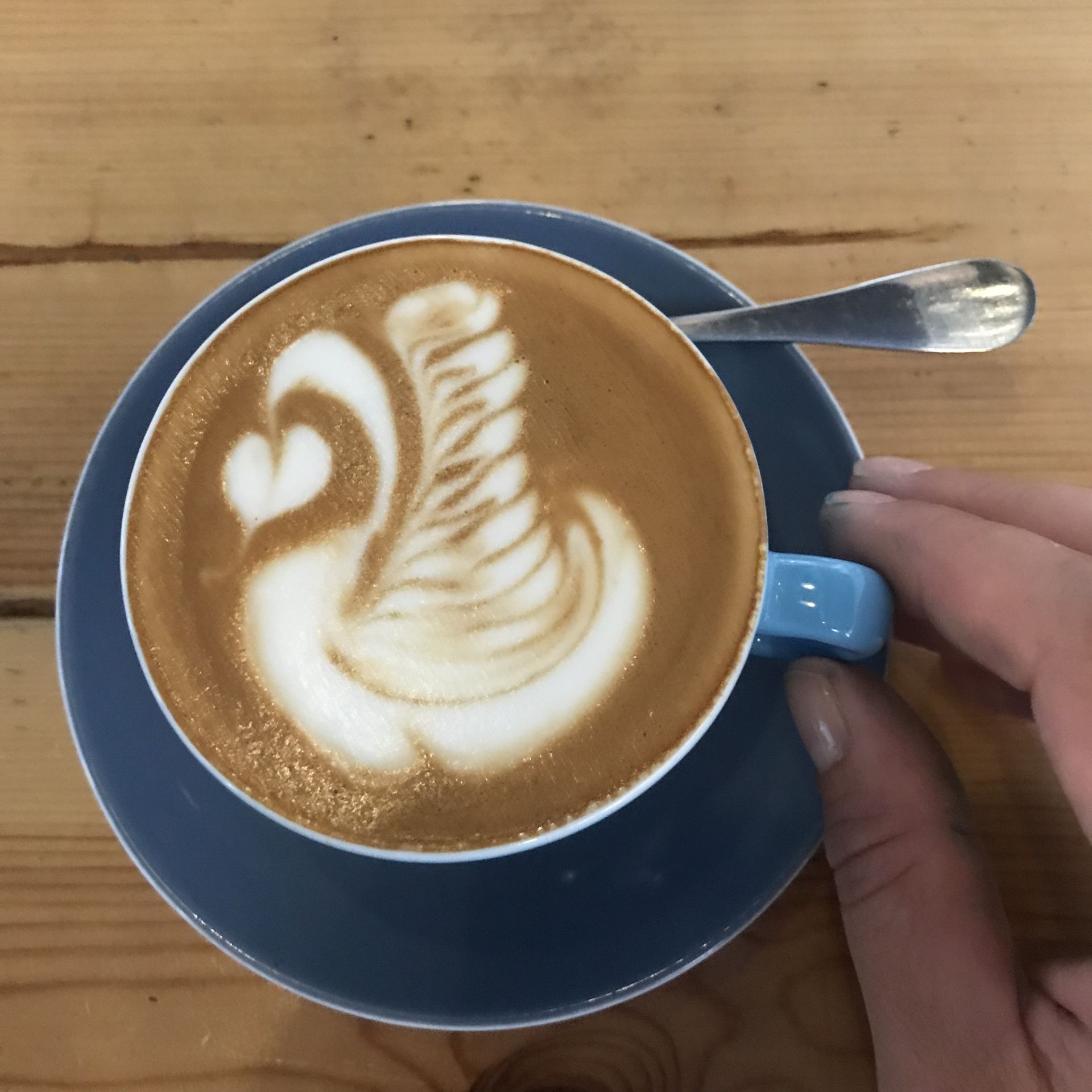 A cup of coffee with milk art in the shape of a swan