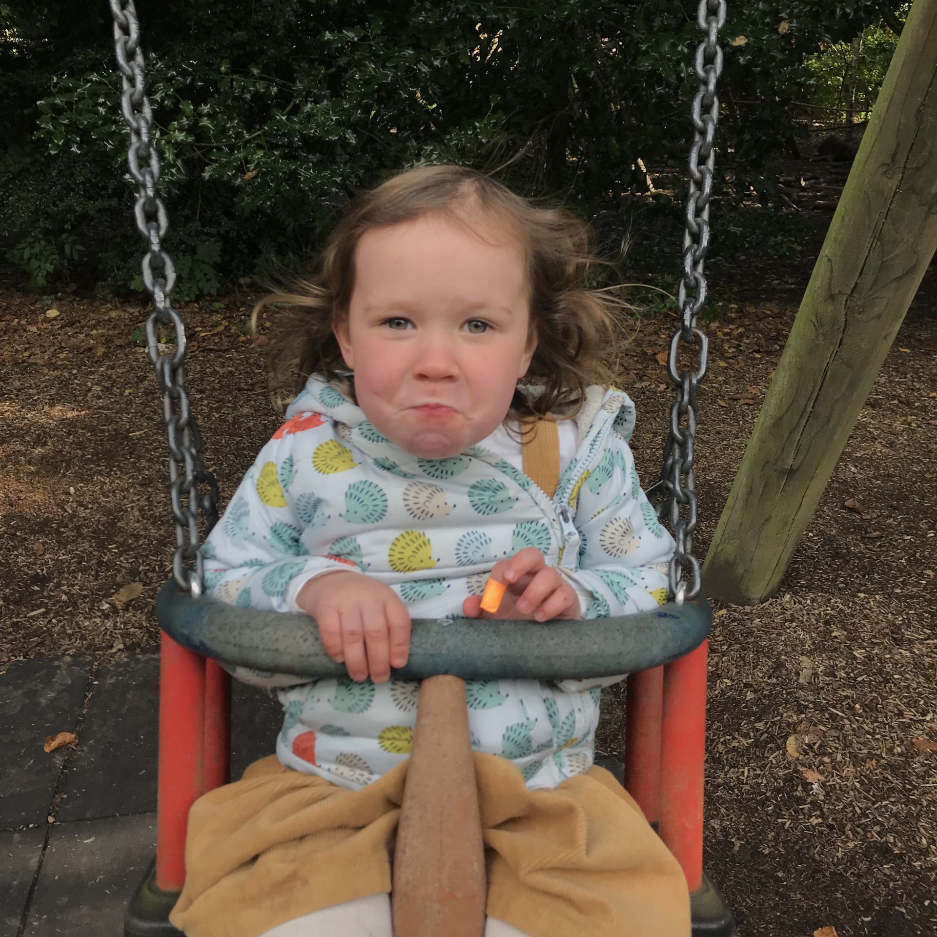 Child on a swing 