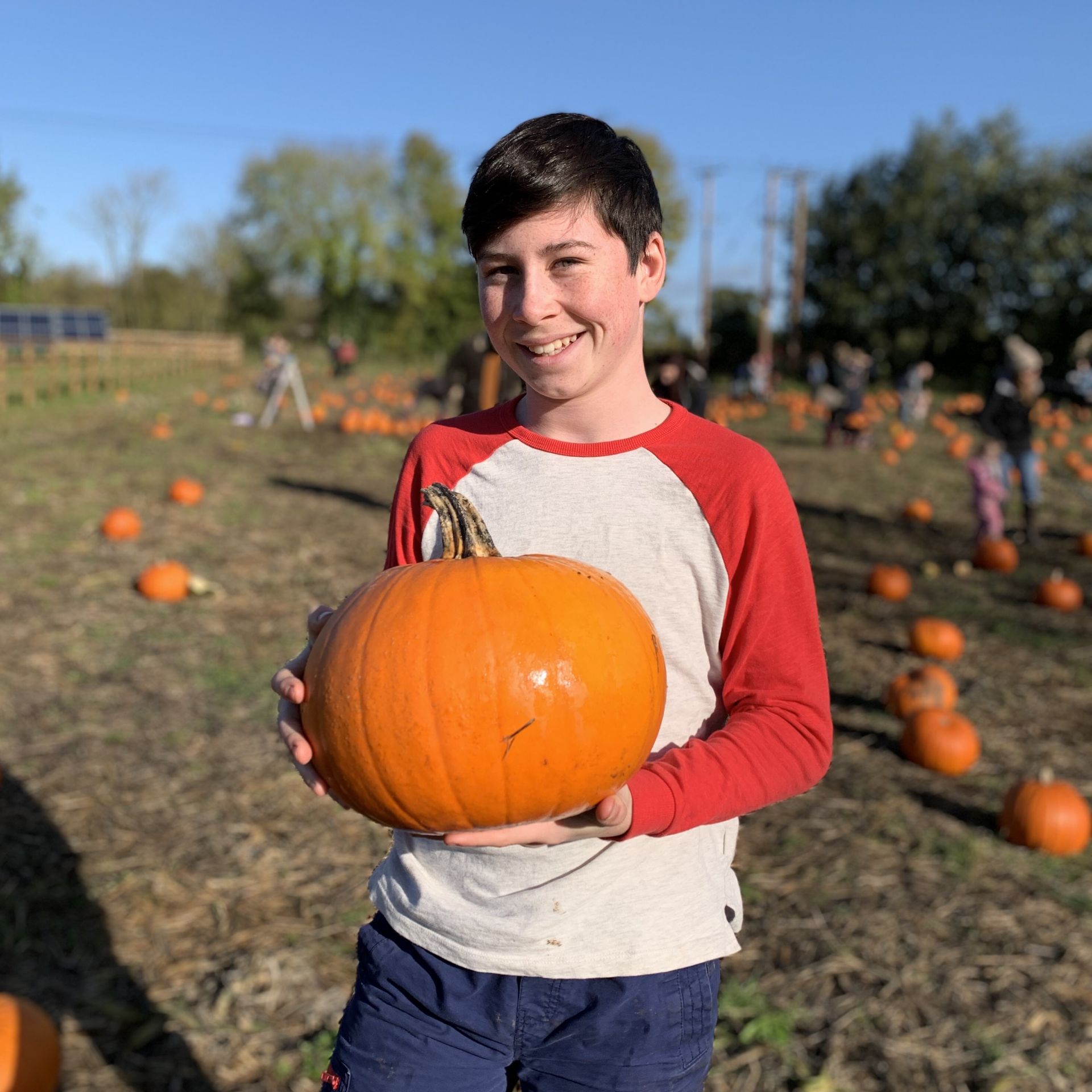 Boy smiling and holding a pumpkin