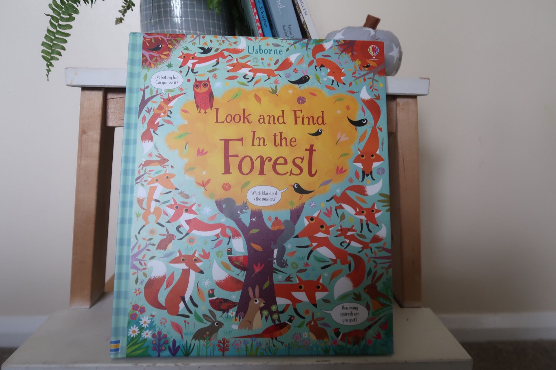 A kids book on the shelf
