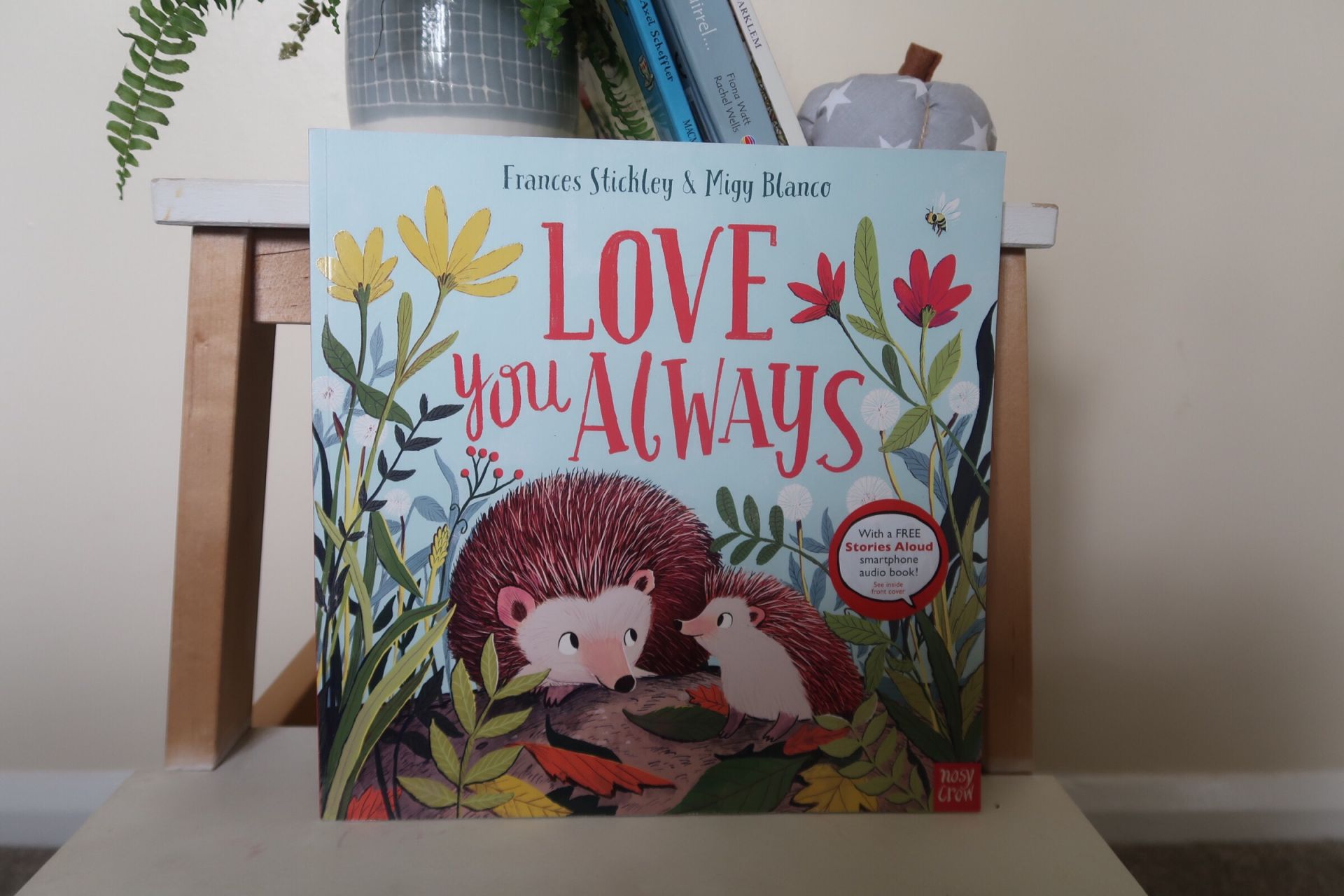 Love you Always hedgehog book