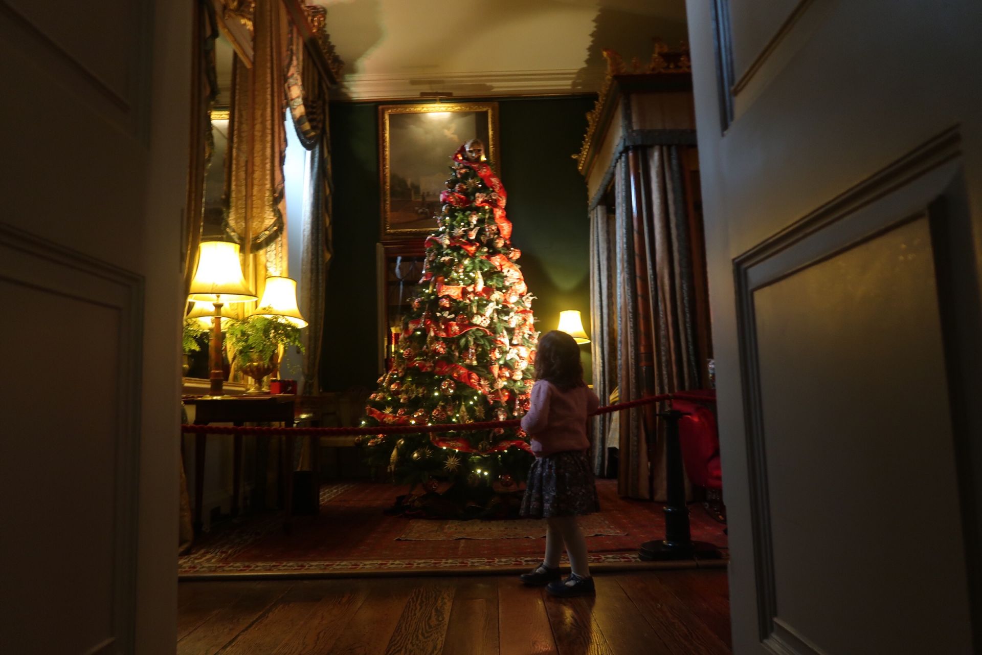A girl looking at a Christmas tree