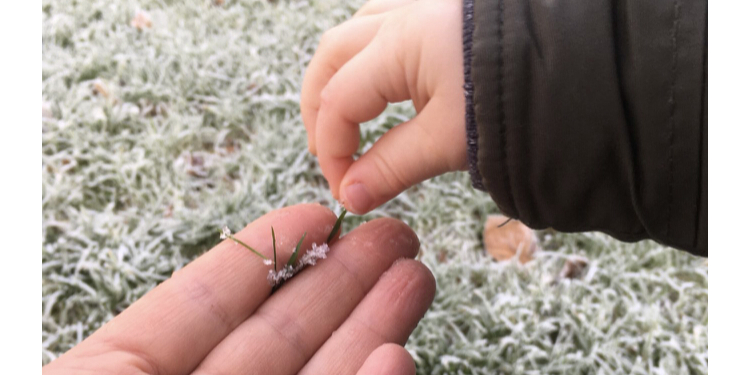 a baby and Mum holding frosty blades of grass for Christmas activities