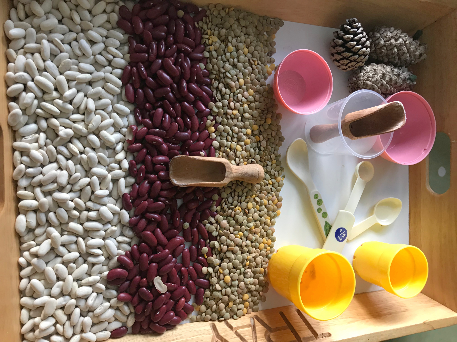 dried beans, scoops and tubs ready for a Christmas baby or toddler activity
