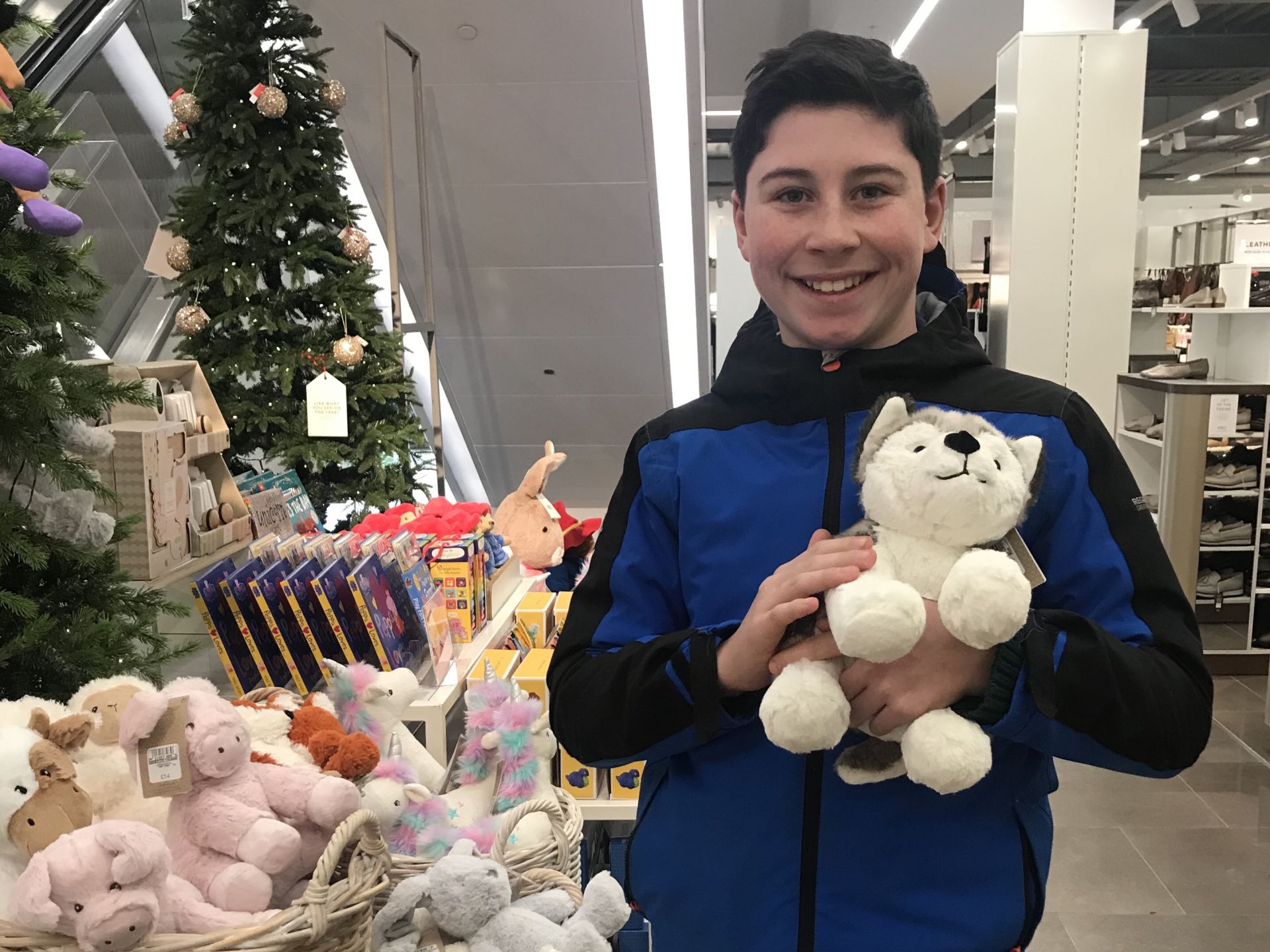 a boy holding a toy husky