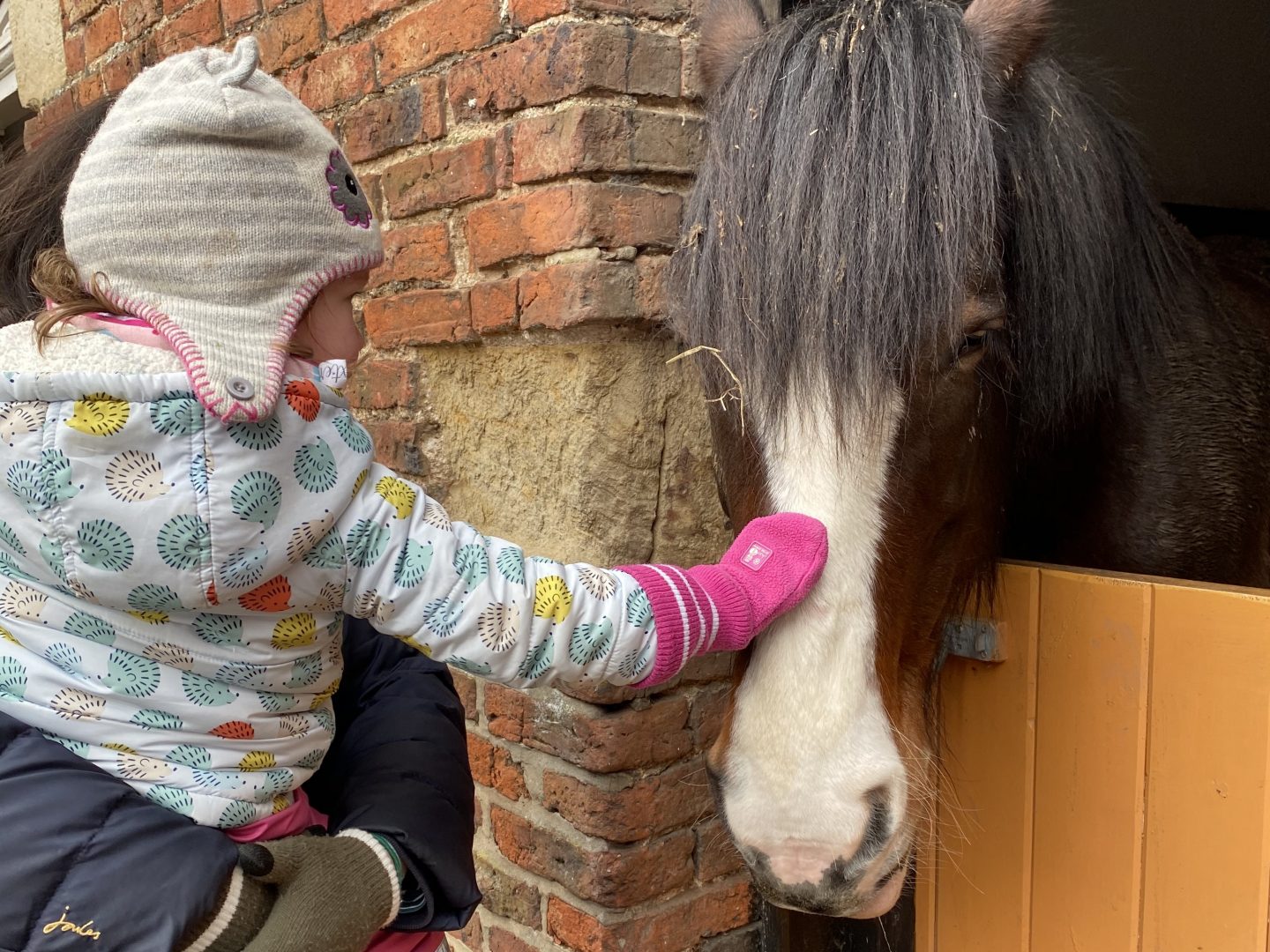 A child stroking a horse in a Yorkshire farm in February Half term