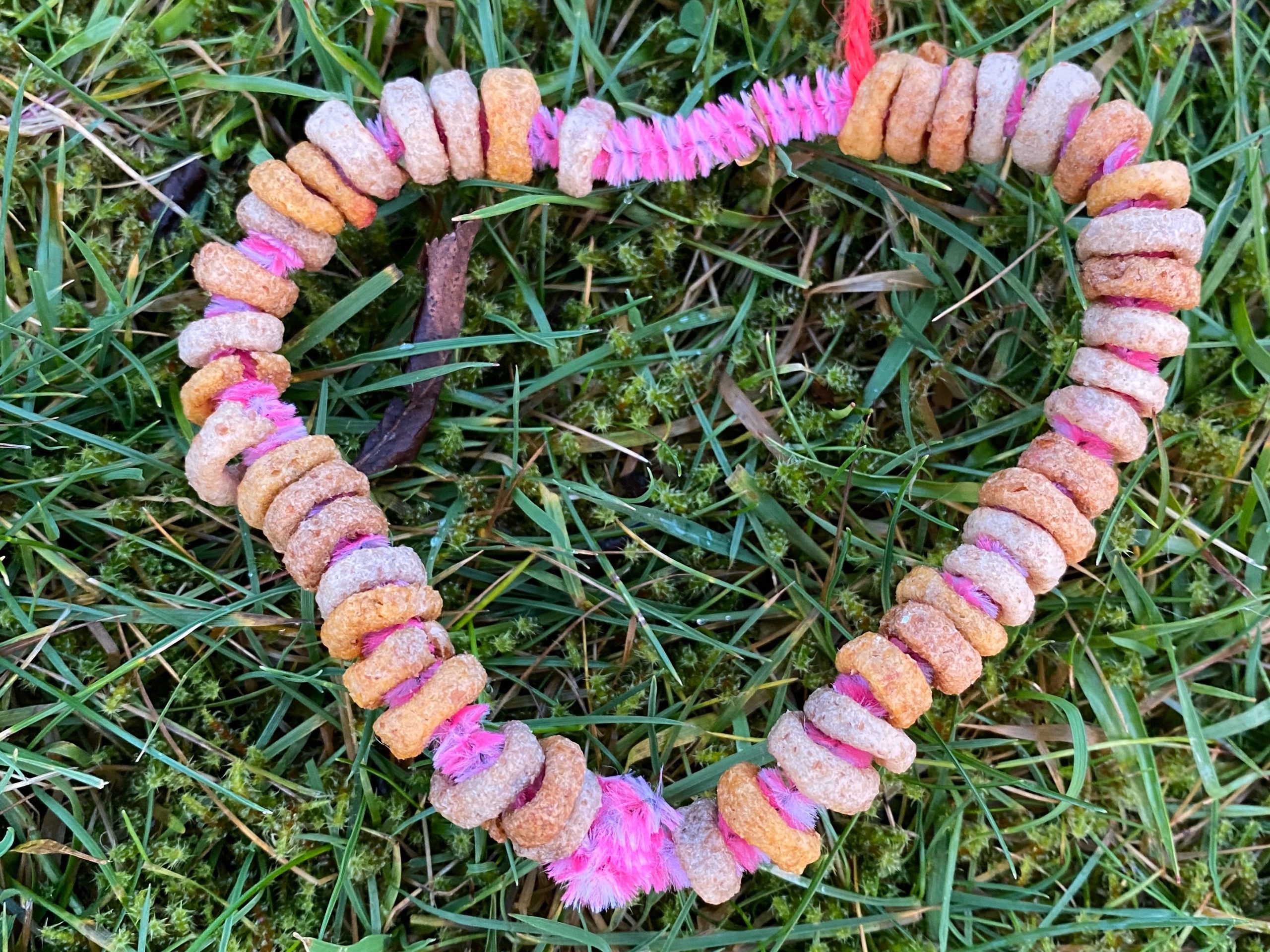 Indoor activity for a preschooler making a cheerio bird feeder heart