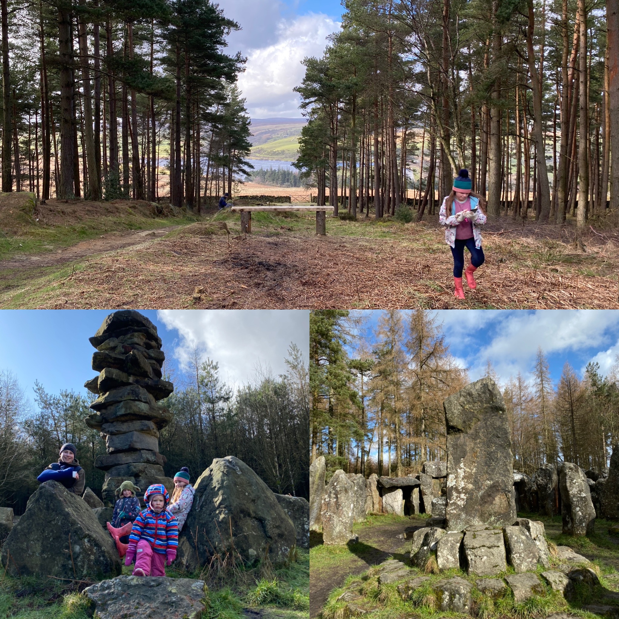 pictures of a wood and druids temple in Swinton