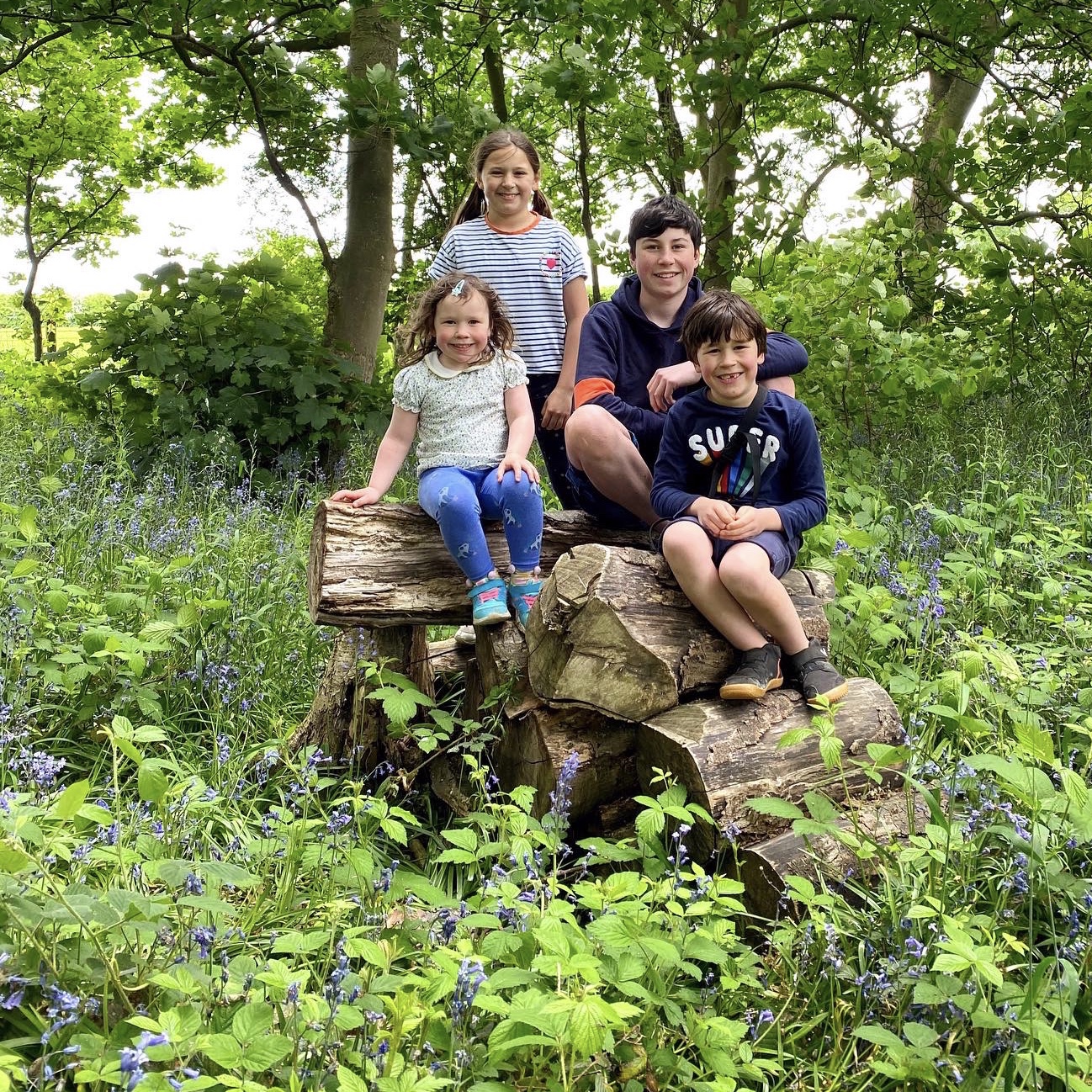 a bluebell wood walk with 4 children on a log