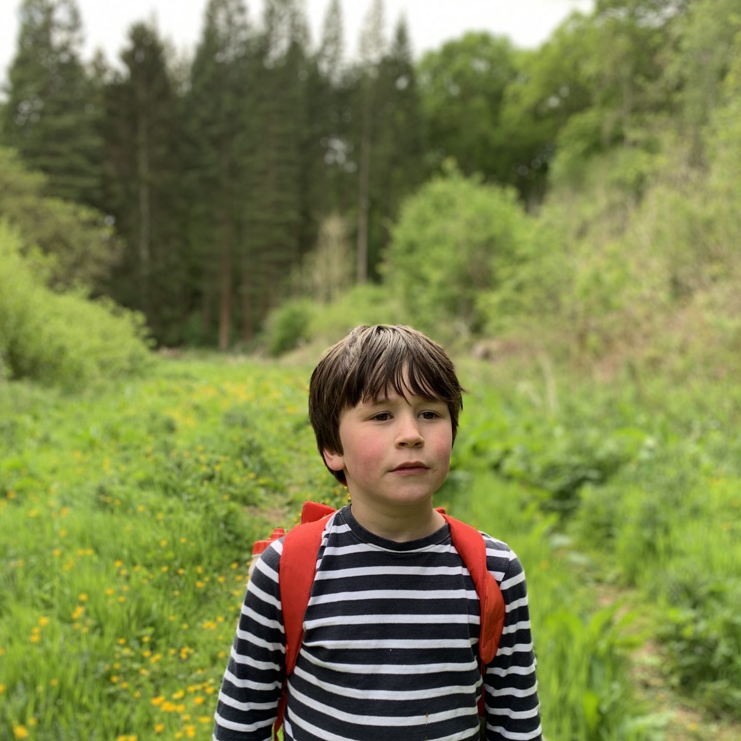 Homeschool Sunny afternoon with a walk in the countryside