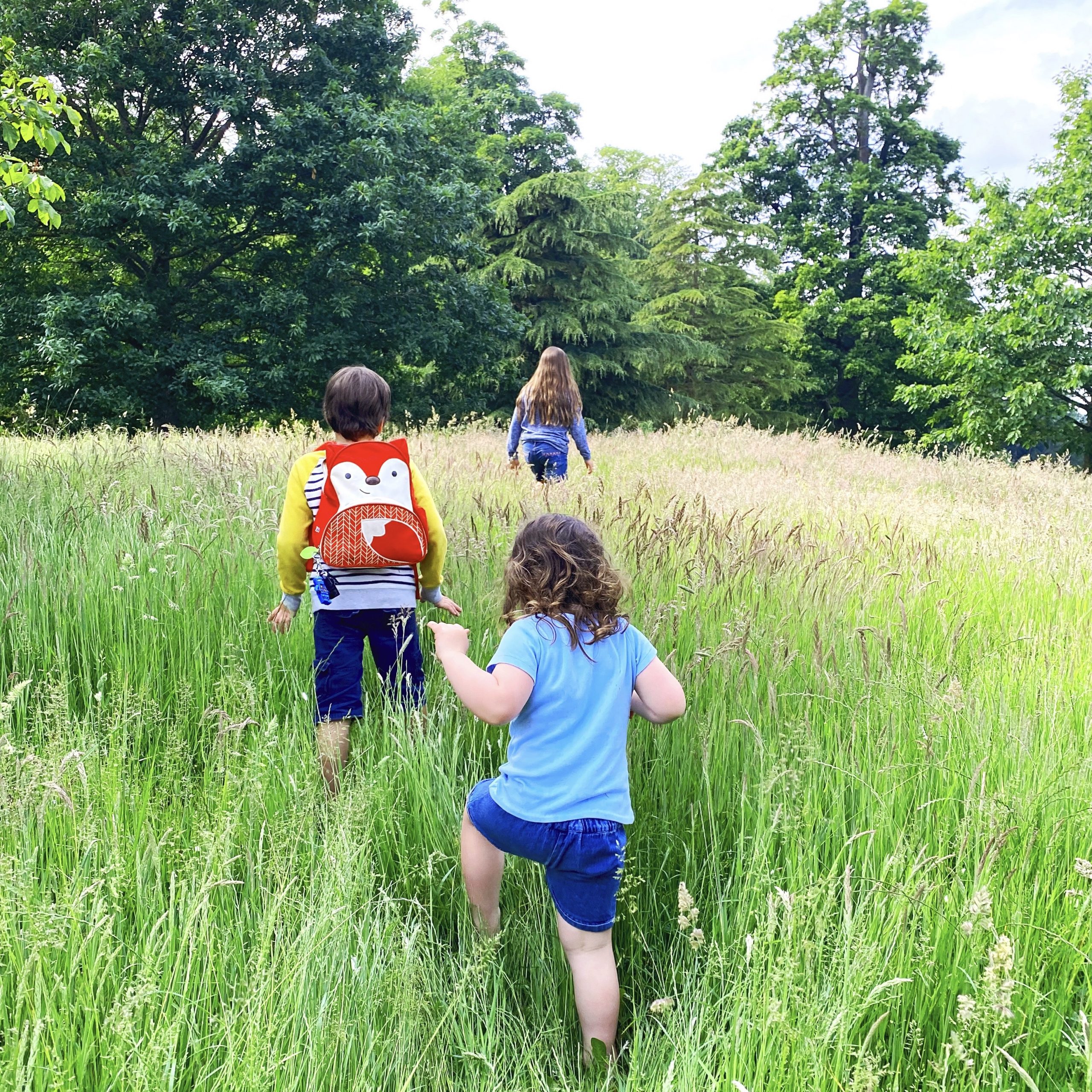 Playing in the long grass at Castle Howard