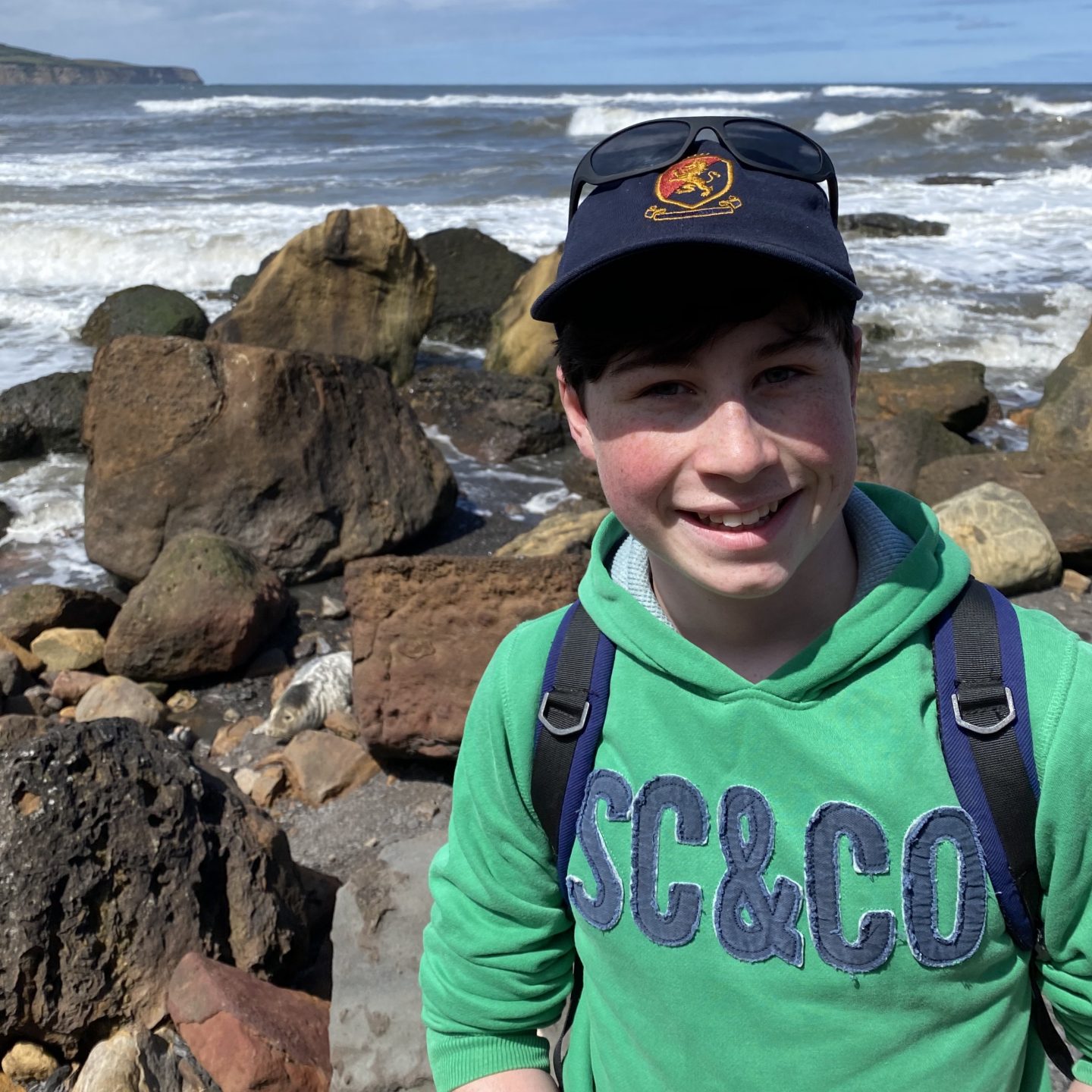 Seals on the Yorkshire coast with a boy down  on the rocks 