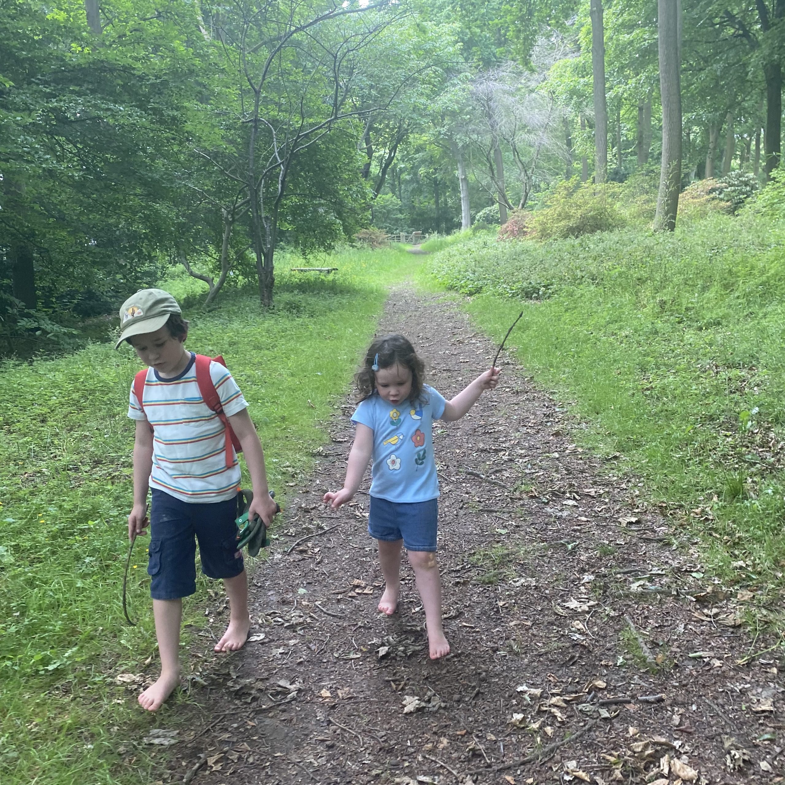 Walking in Castle Howard woods