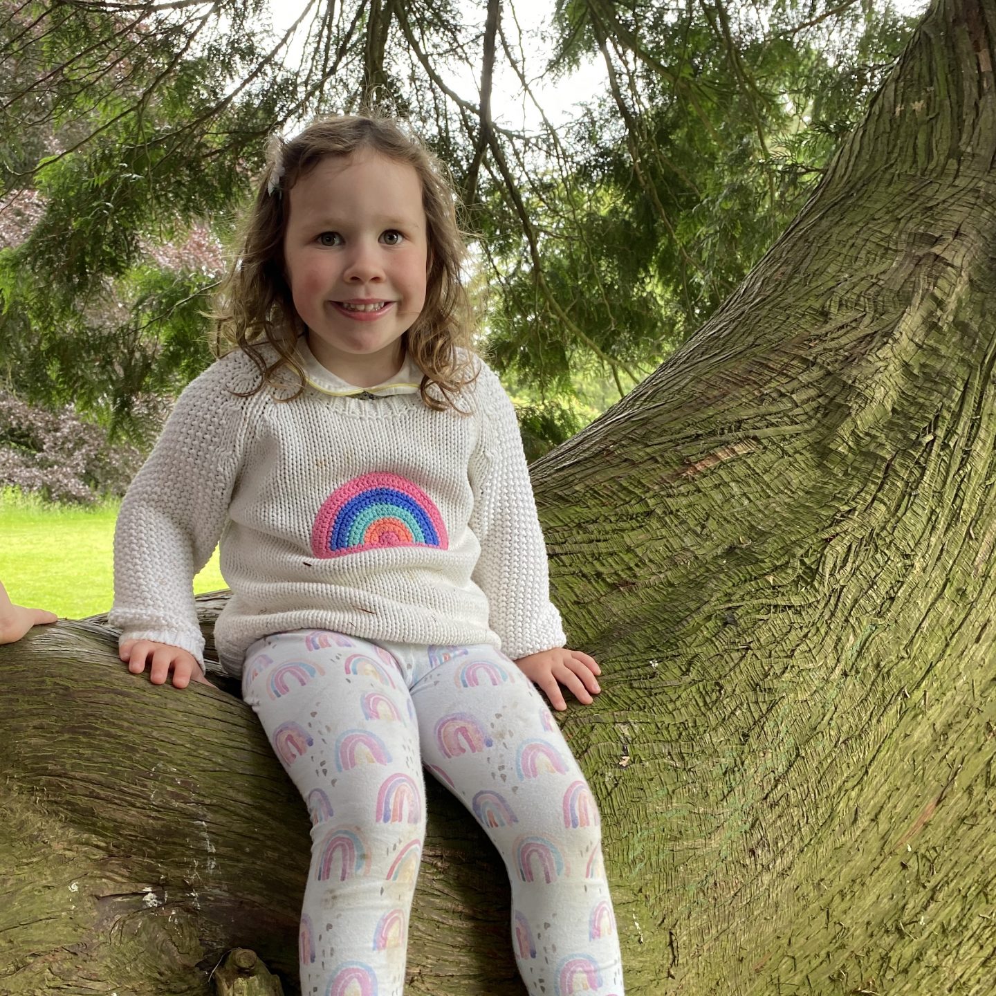A girl wearing a rainbow jumper sat in a tree