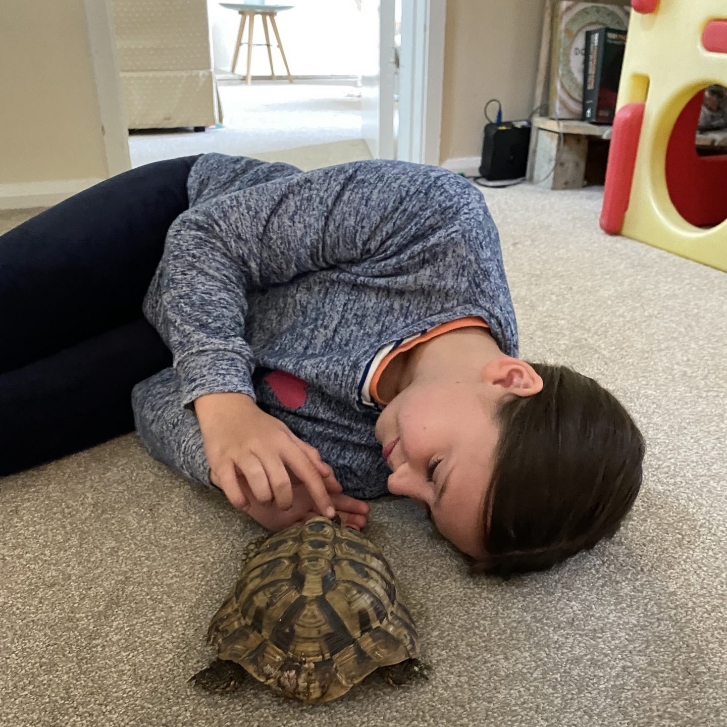 Stepping into our new normal with girl lying on the floor with her pet tortoise .
