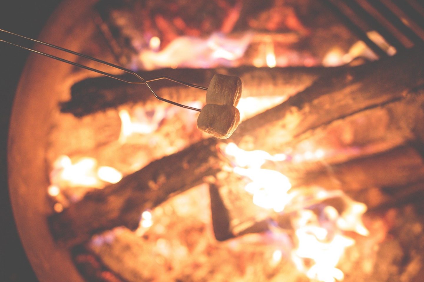 Camping s’mores