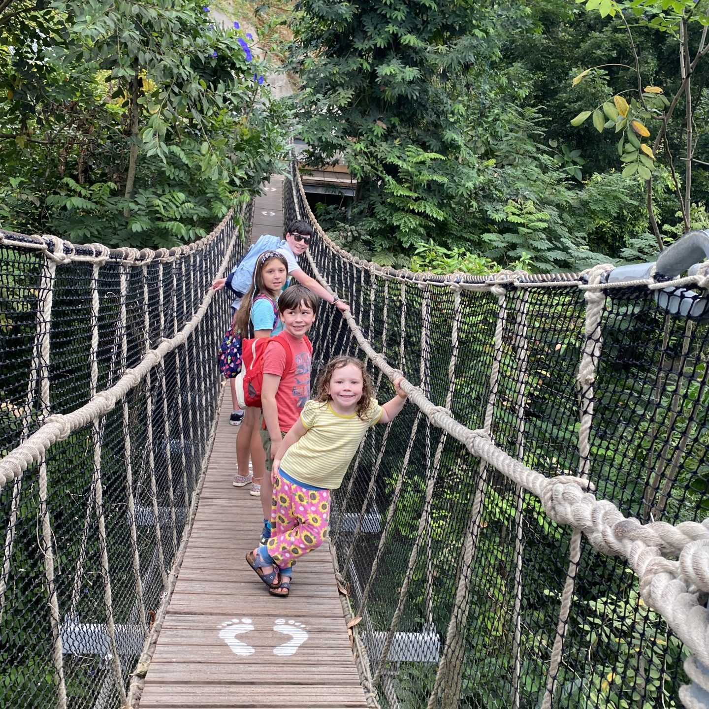 Family Road Trip in Cornwall with 4 kids in the Eden Project