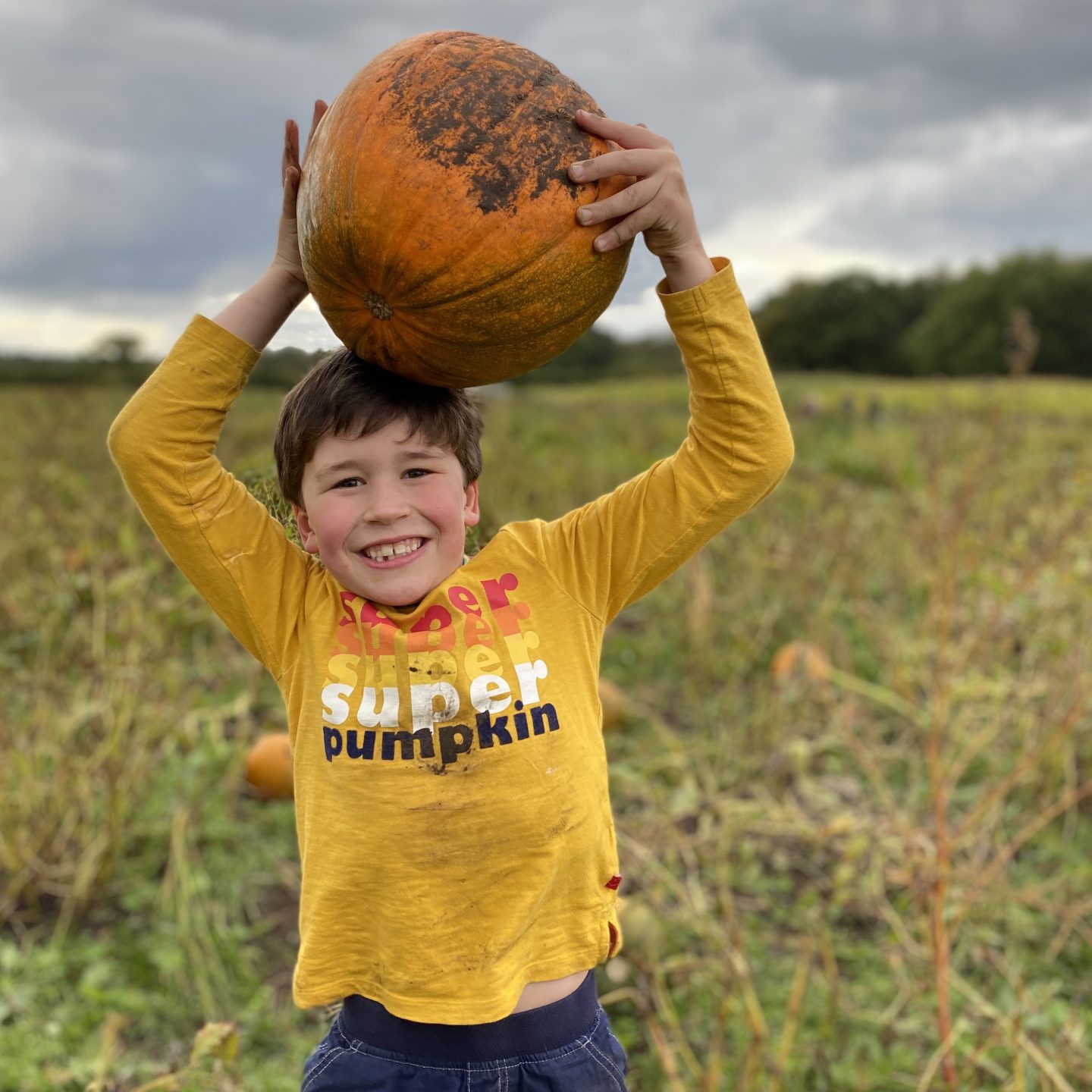 A boy carrying a large pumpkin at the pumpkin festival 