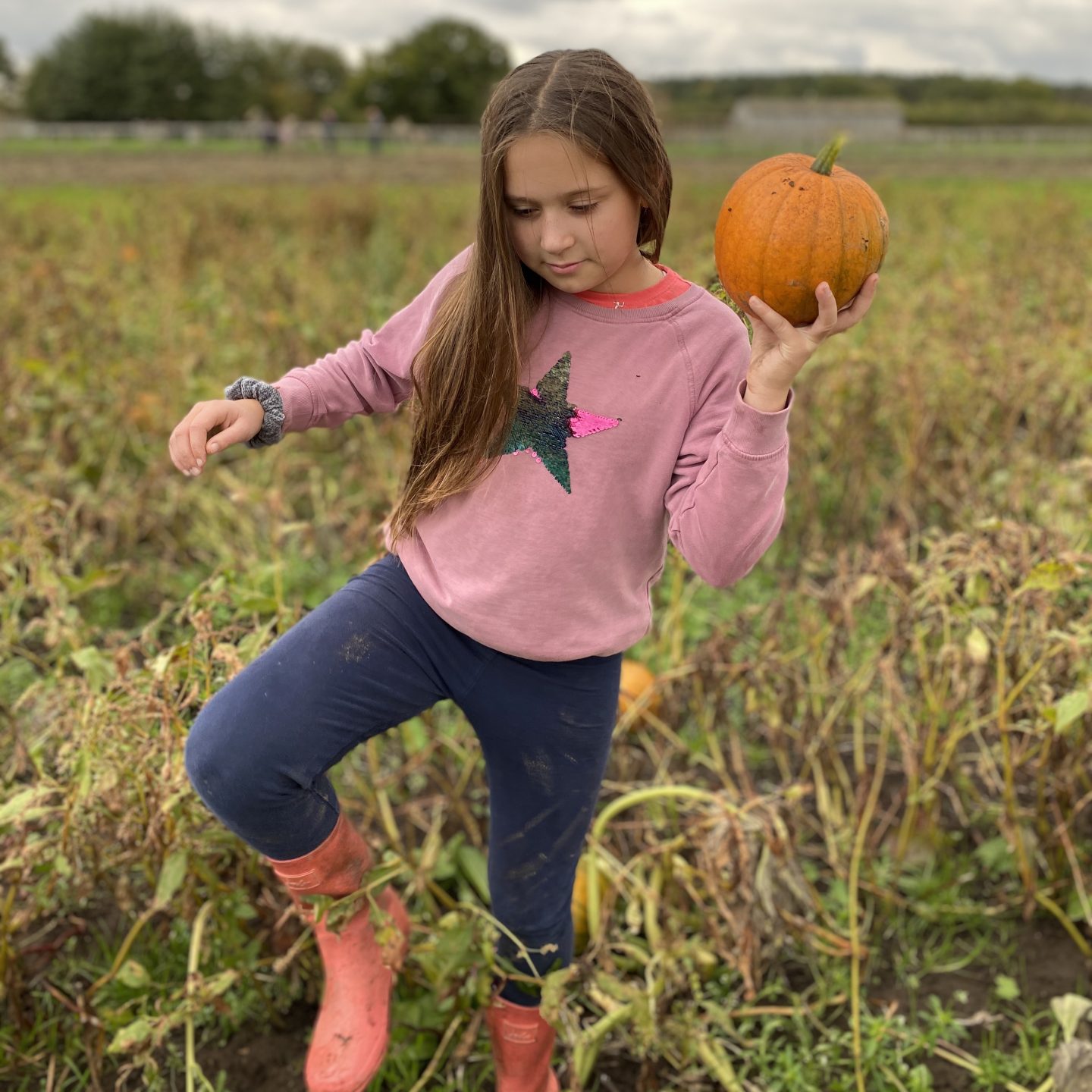 Piglets pumpkin festival  with a girl carrying a pumpkin 
