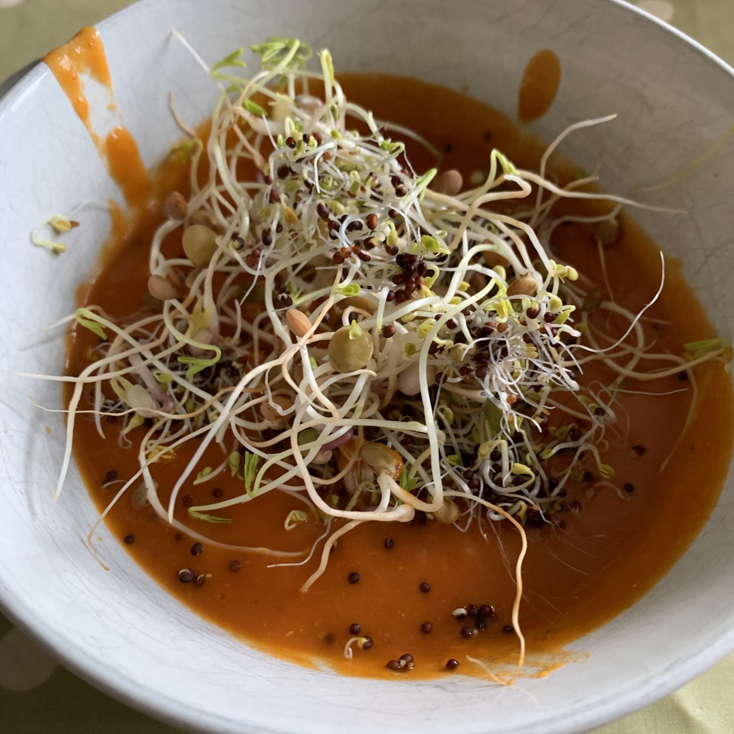 homemade soup served with sprouts