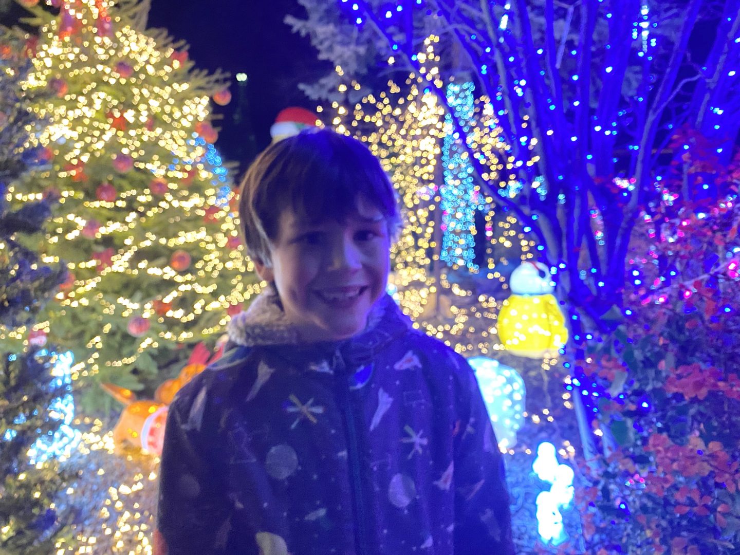A young boy stood outside by Christmas lights on the Christmas build up