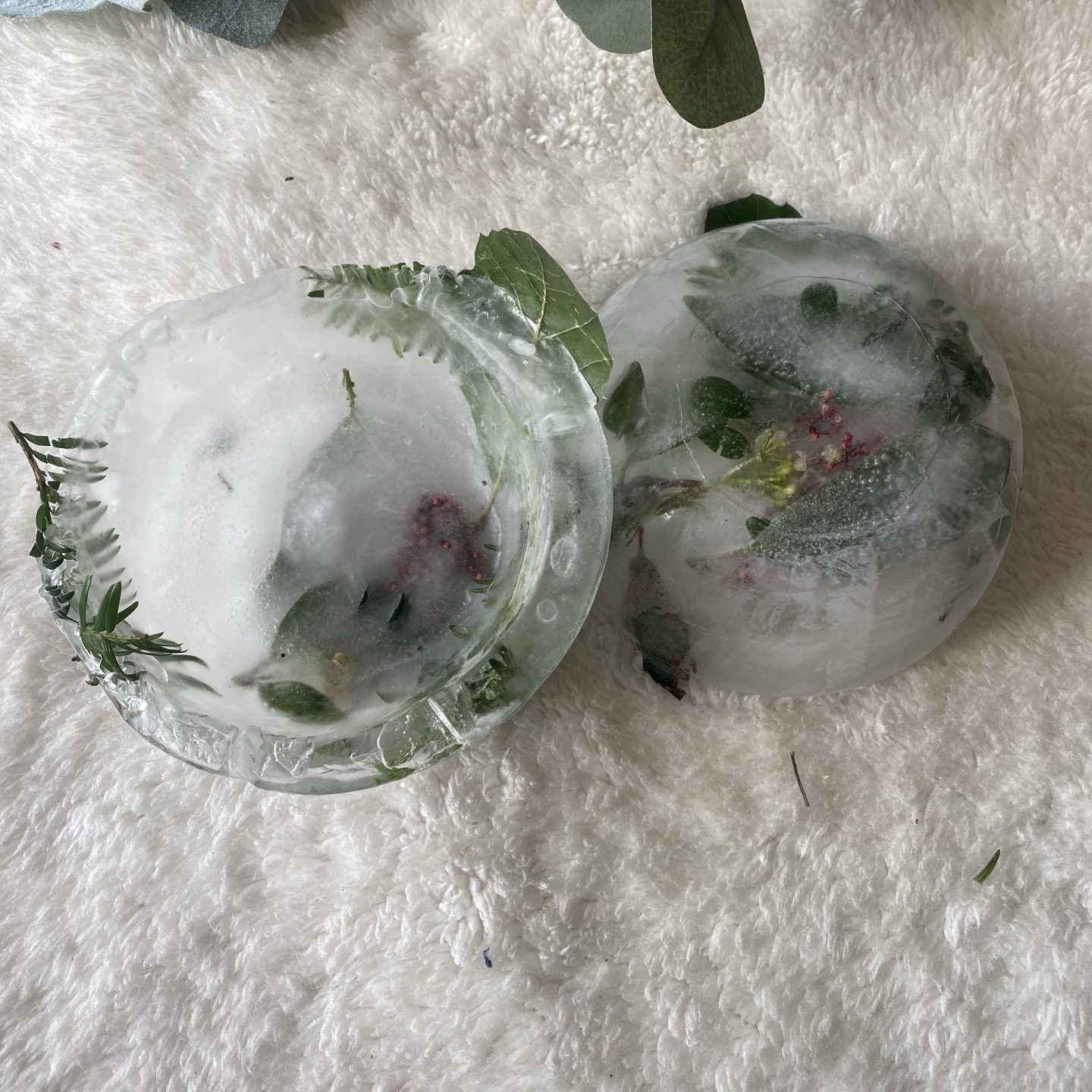 2 ice bowls with foliage frozen inside on a sheepskin