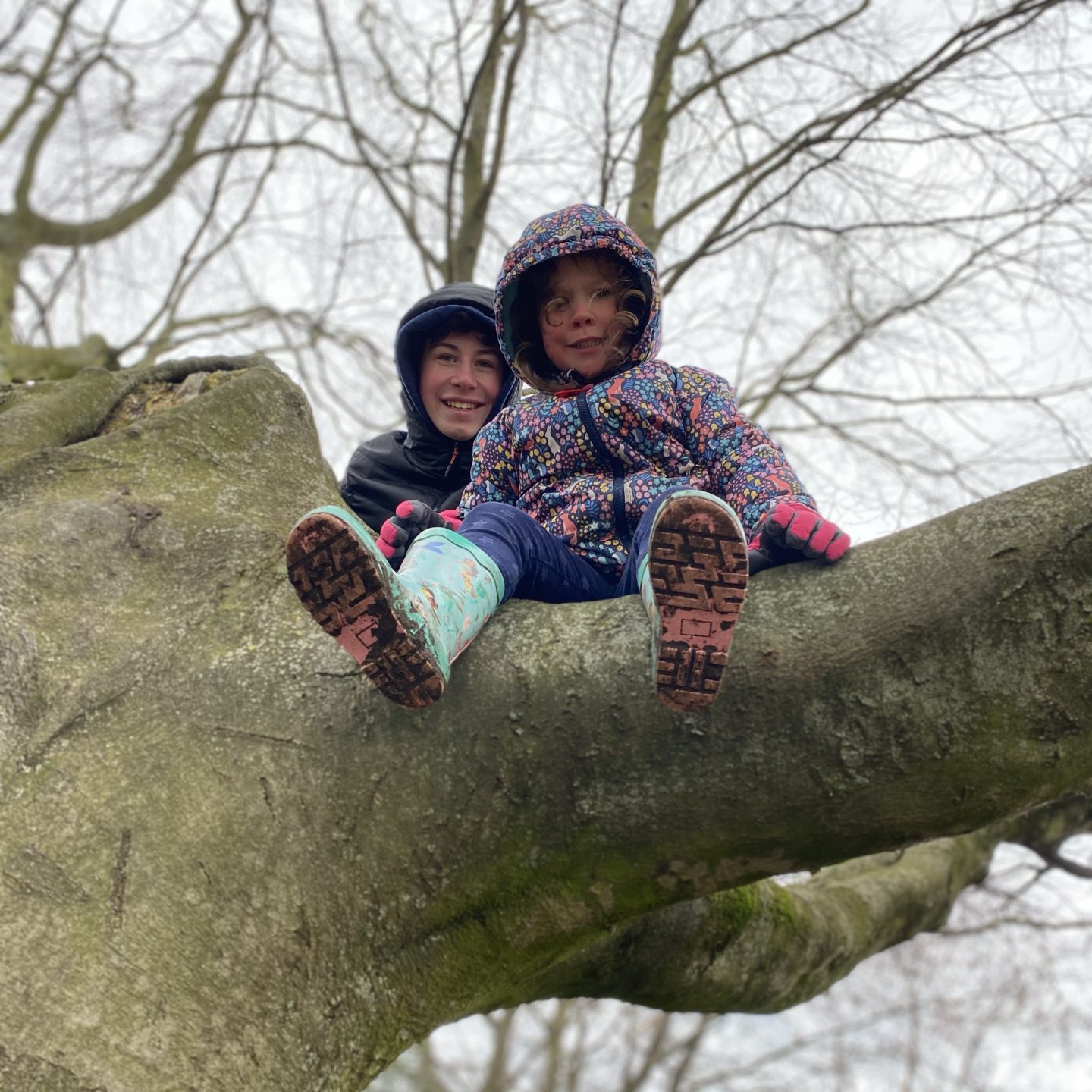2 children up a tree