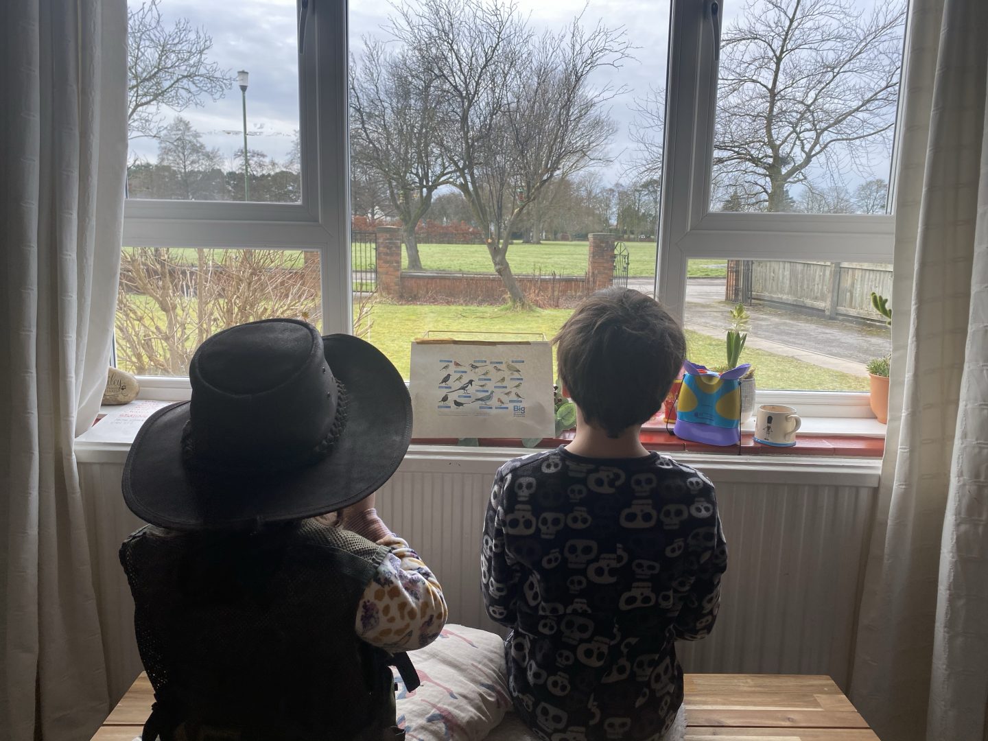 RSPB big garden birdwatch with 2 kids sat indoors bird watching