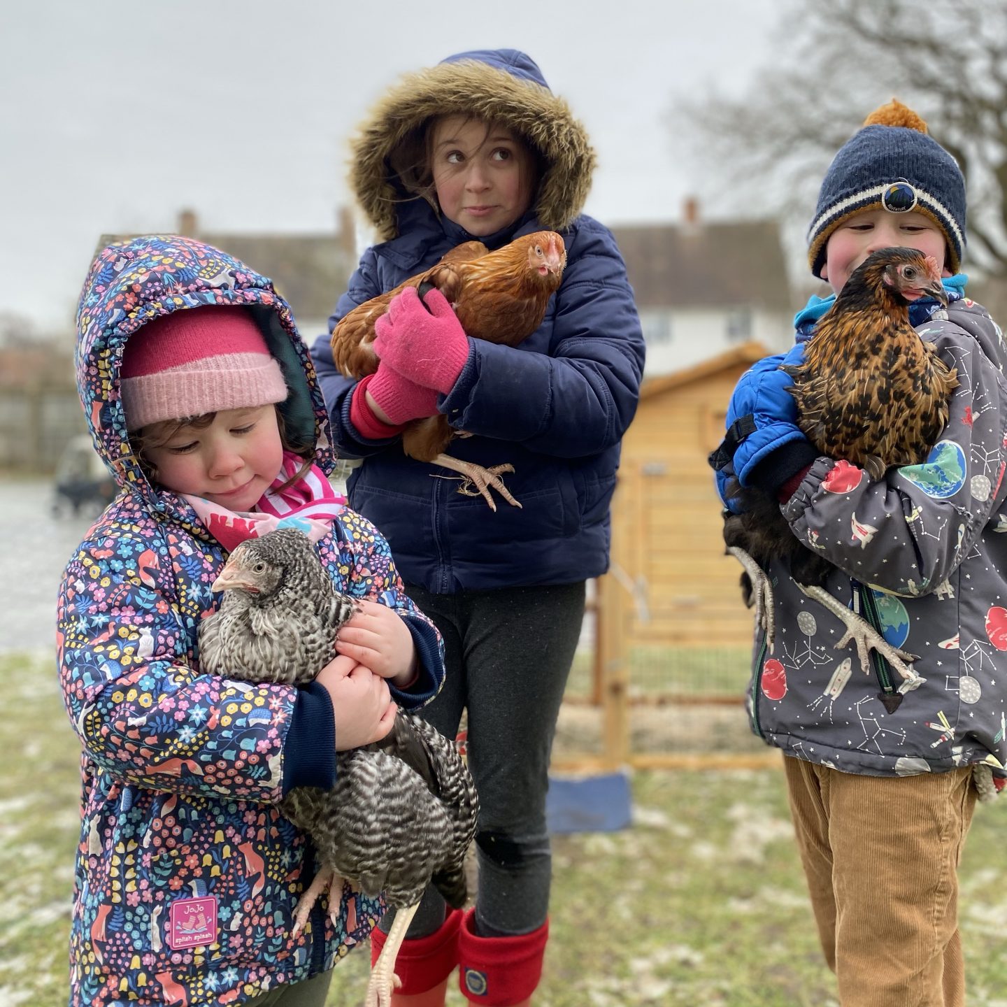 3 children holding chickens