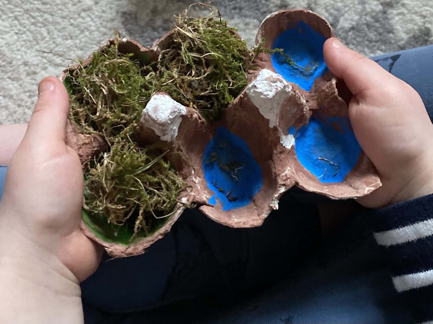 an egg box shaped like mountains in a small child's hand