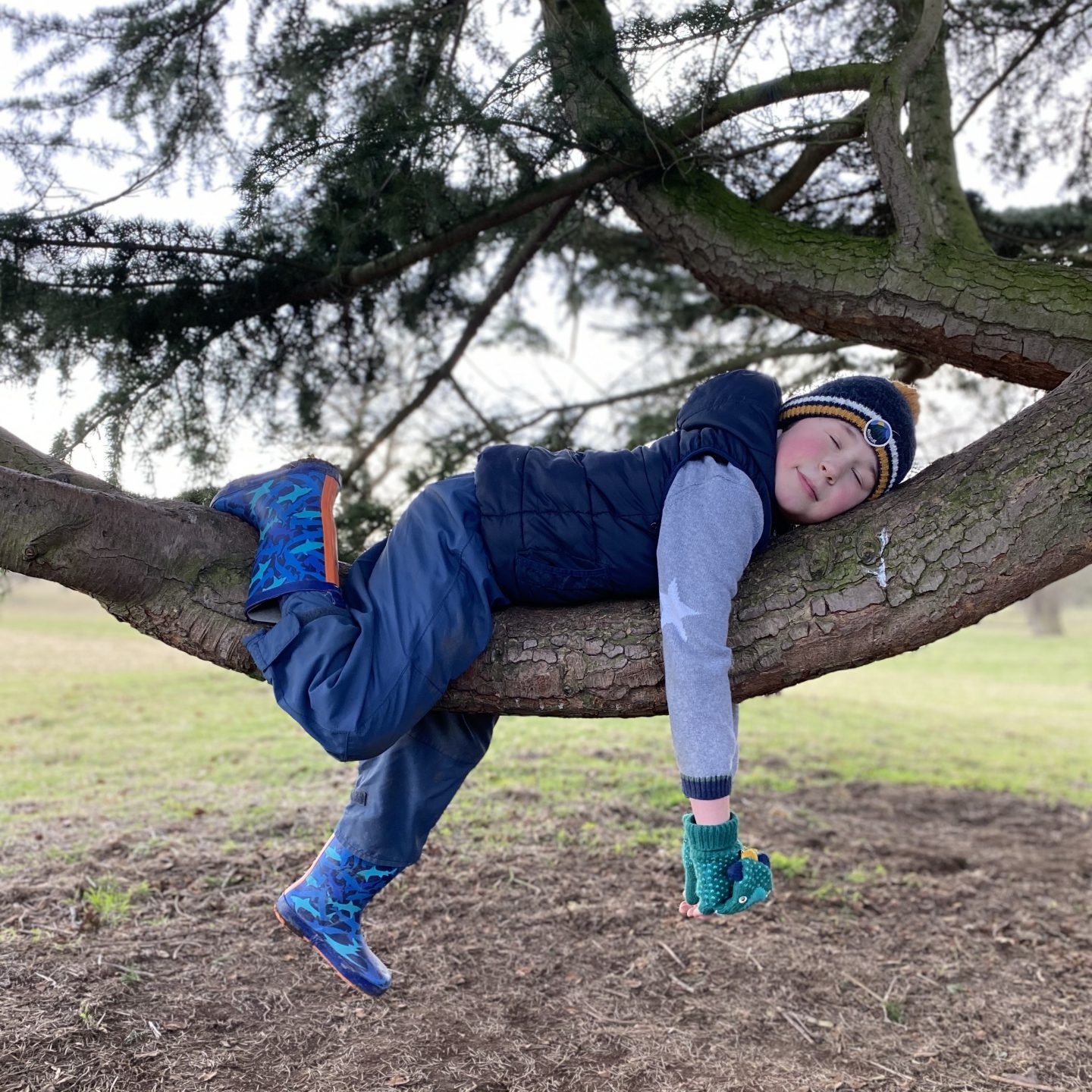 slow hal term with a child in a tree pretending to be a sloth