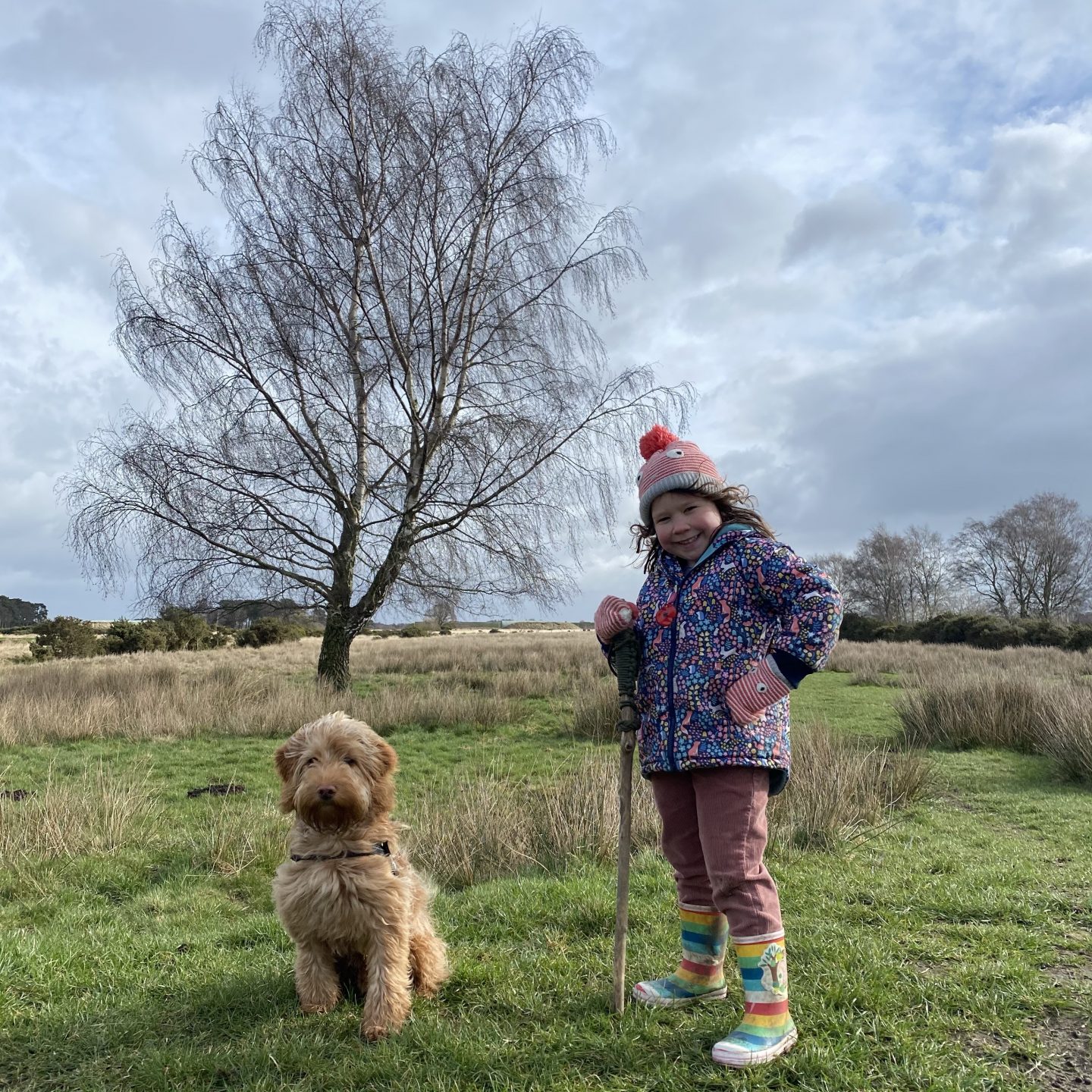 Back to routine tiredness with a break in the day - a girl walking with her dog and a stick