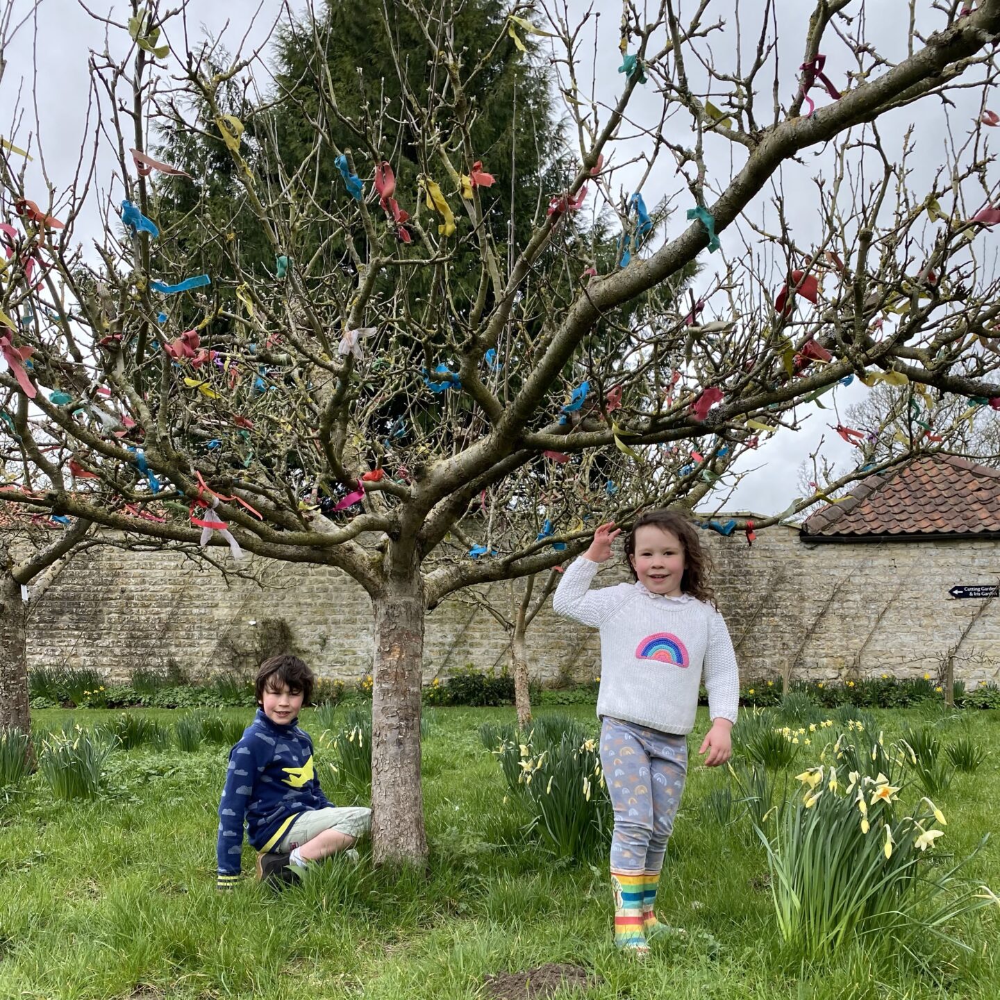 a boy and girl playing underneath a tree with ribbon material hanging from the branches