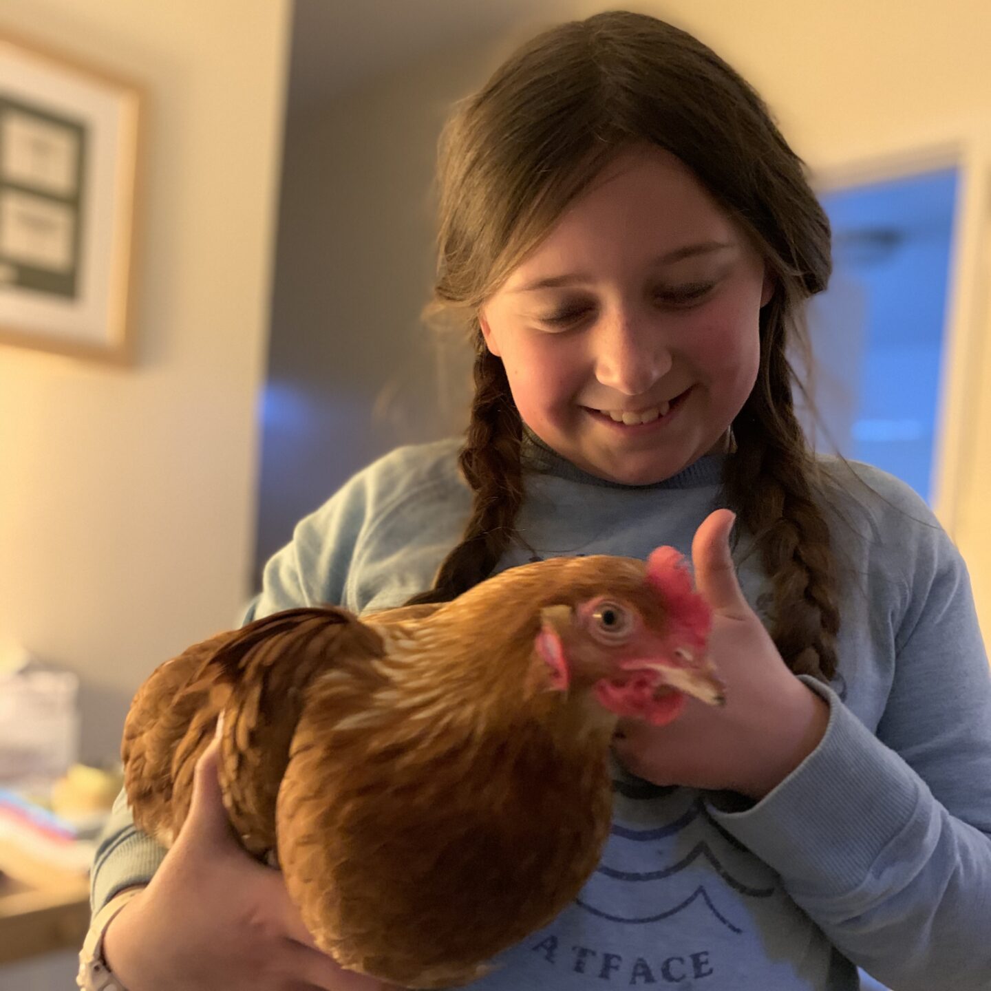 Summer term with a girl holding a chicken and smiling at it