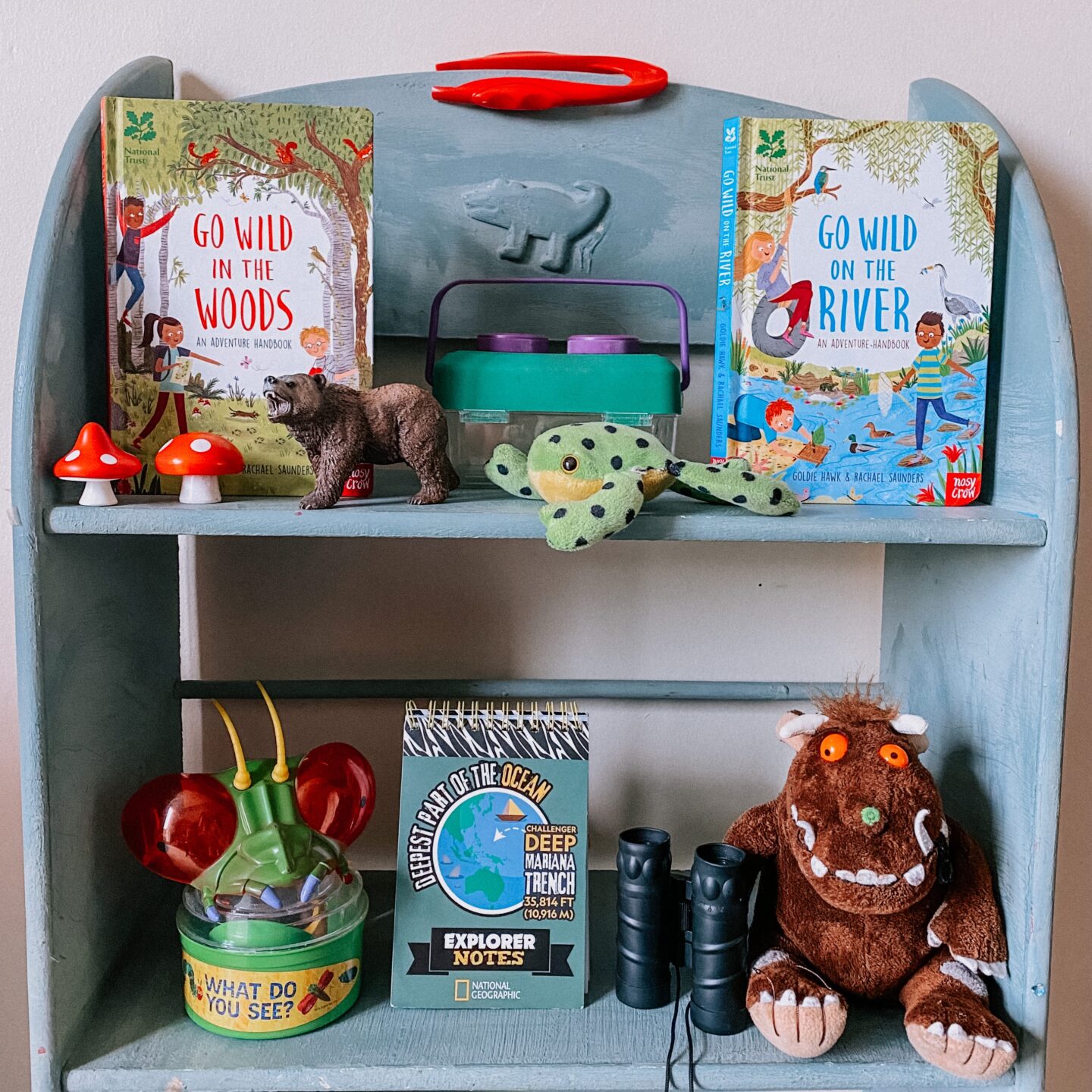 a shelf with kids books, bug hunting toys and stuffed animals for may activities with kids