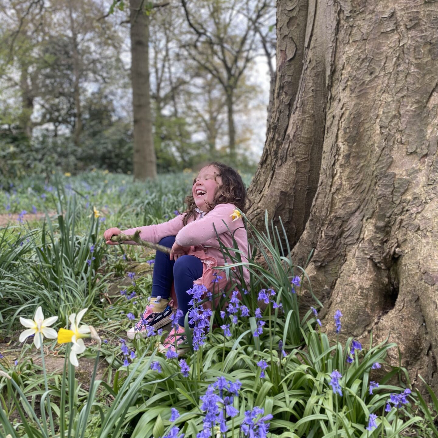 Bluebell woods at Beningbrough hall with a girl sat by a tree laughing.