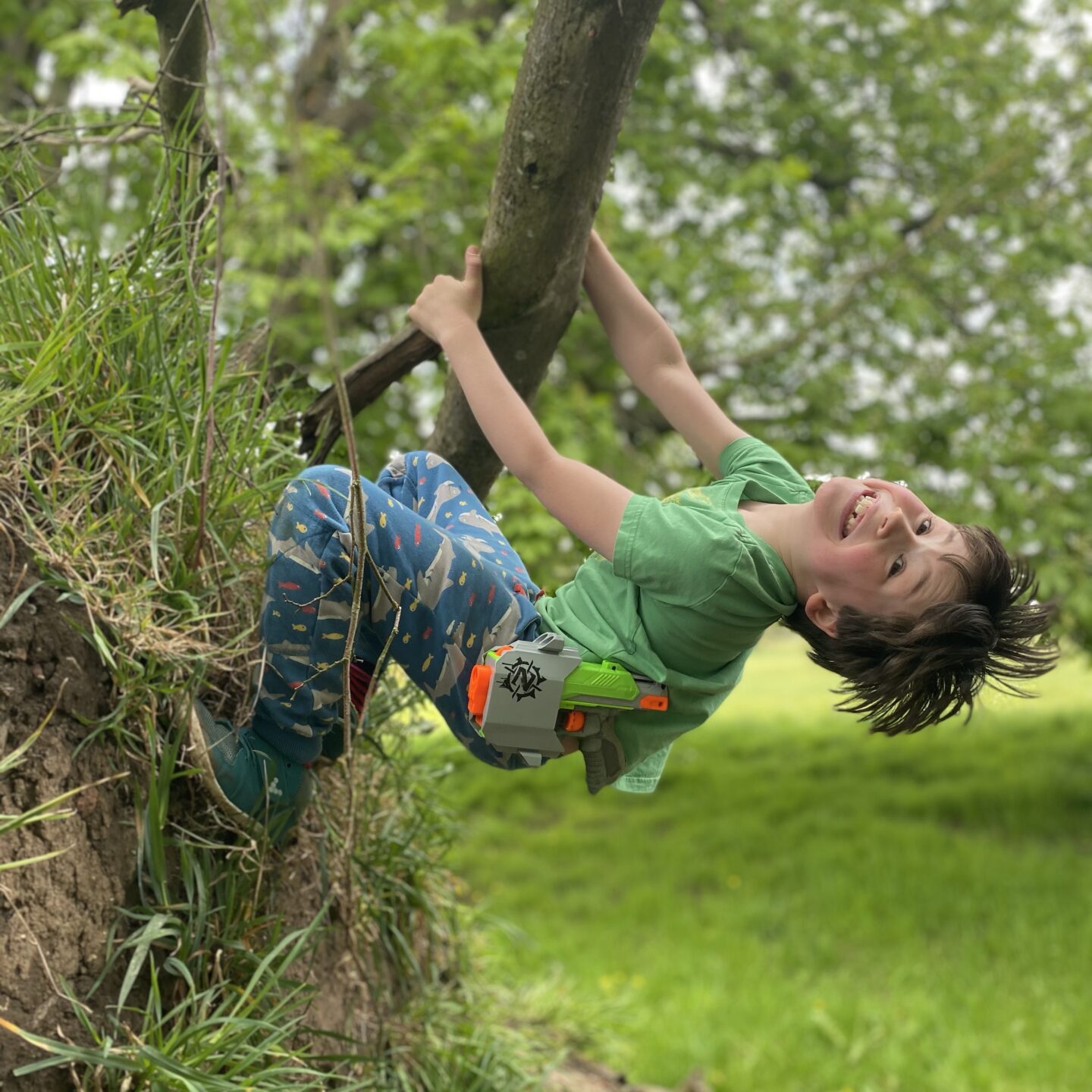 a boy hanging upside down off a branch