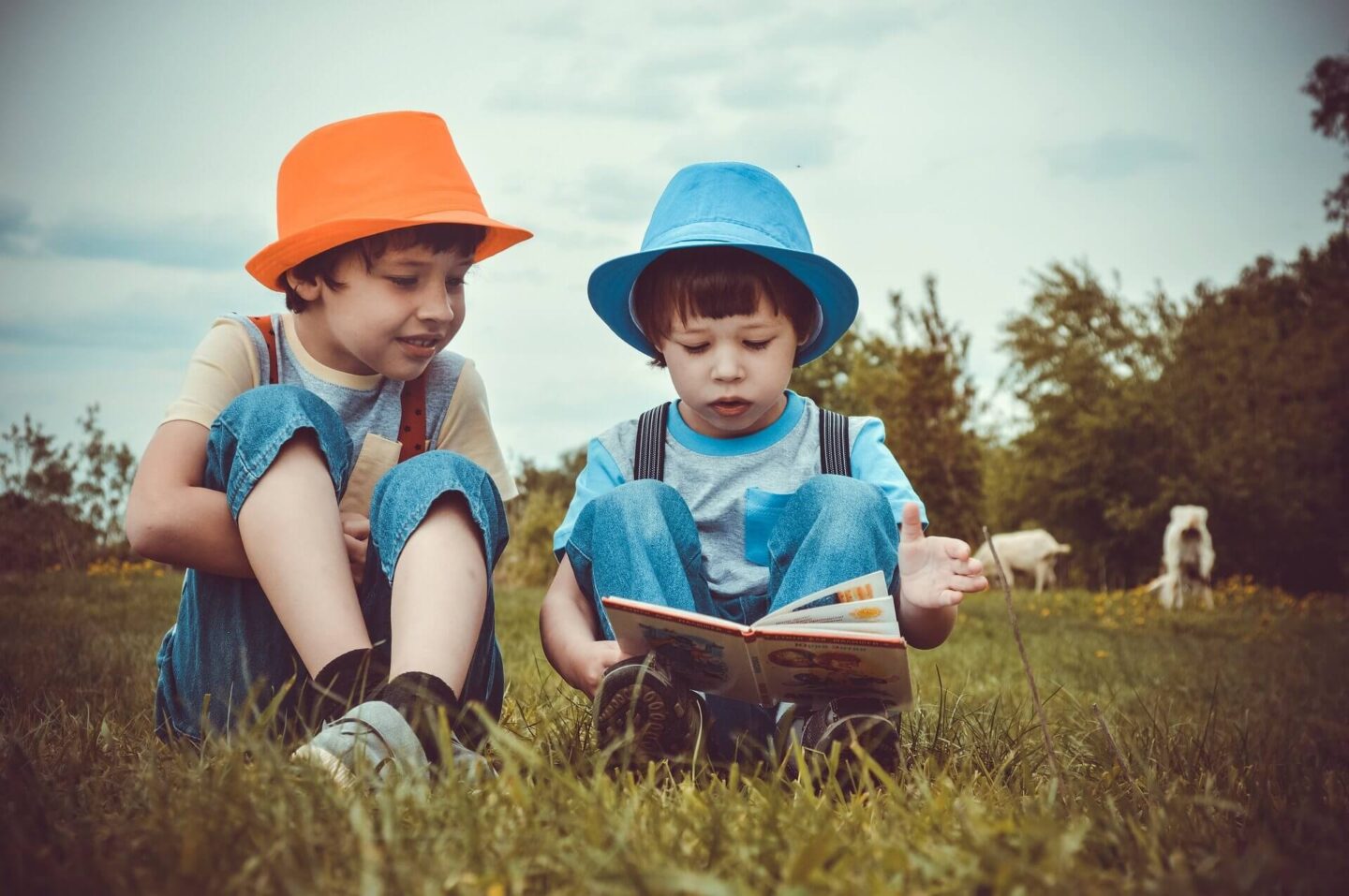 5 fun outdoor activities for children with 2 boys wearing sun hats sat reading on farmland