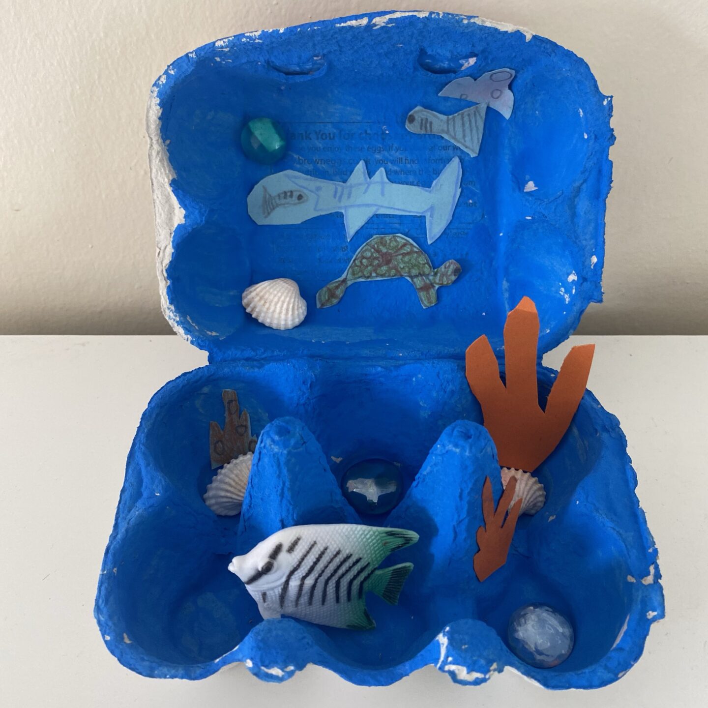 egg box made into an aquarium 