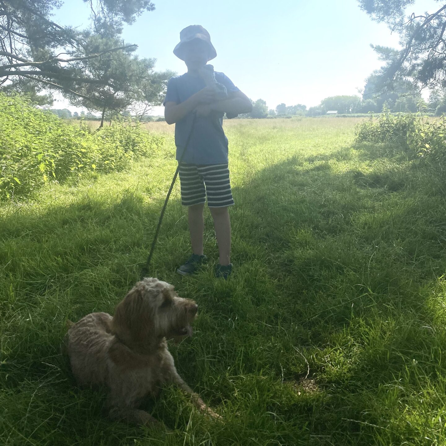 Schools out for Summer with A boy walking a dog