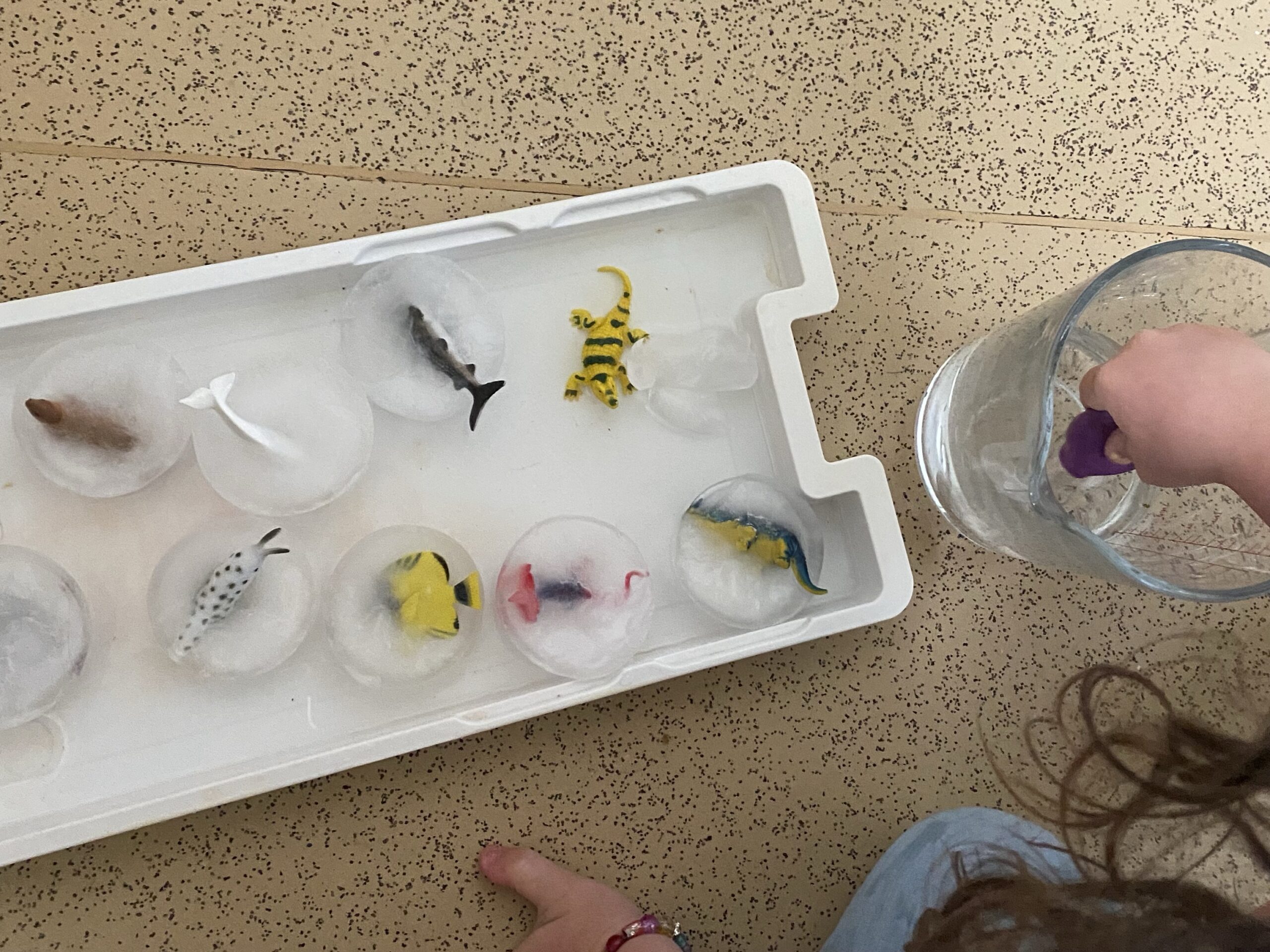 ice play with a tray of frozen animals and a child squeezing warm water from a jug on them