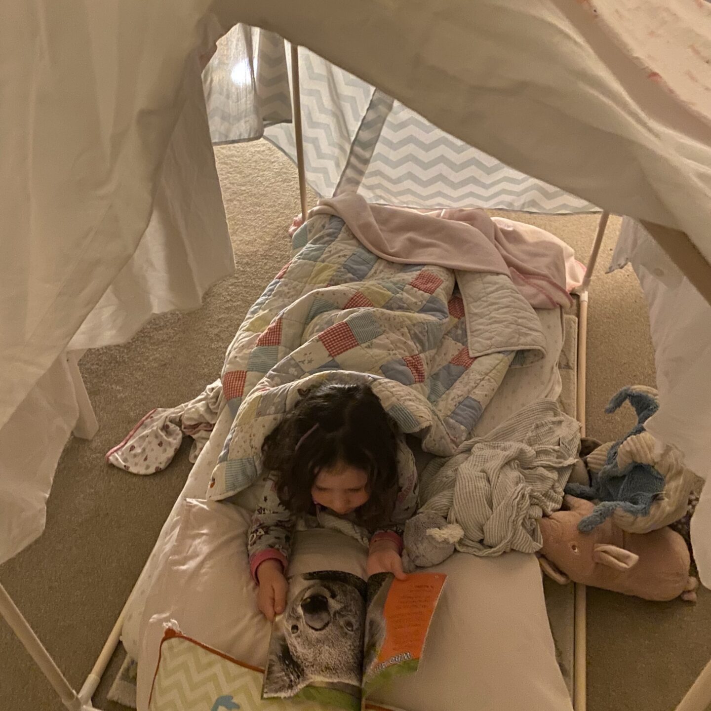 time at home with a girl in a den with blankets reading a koala book
