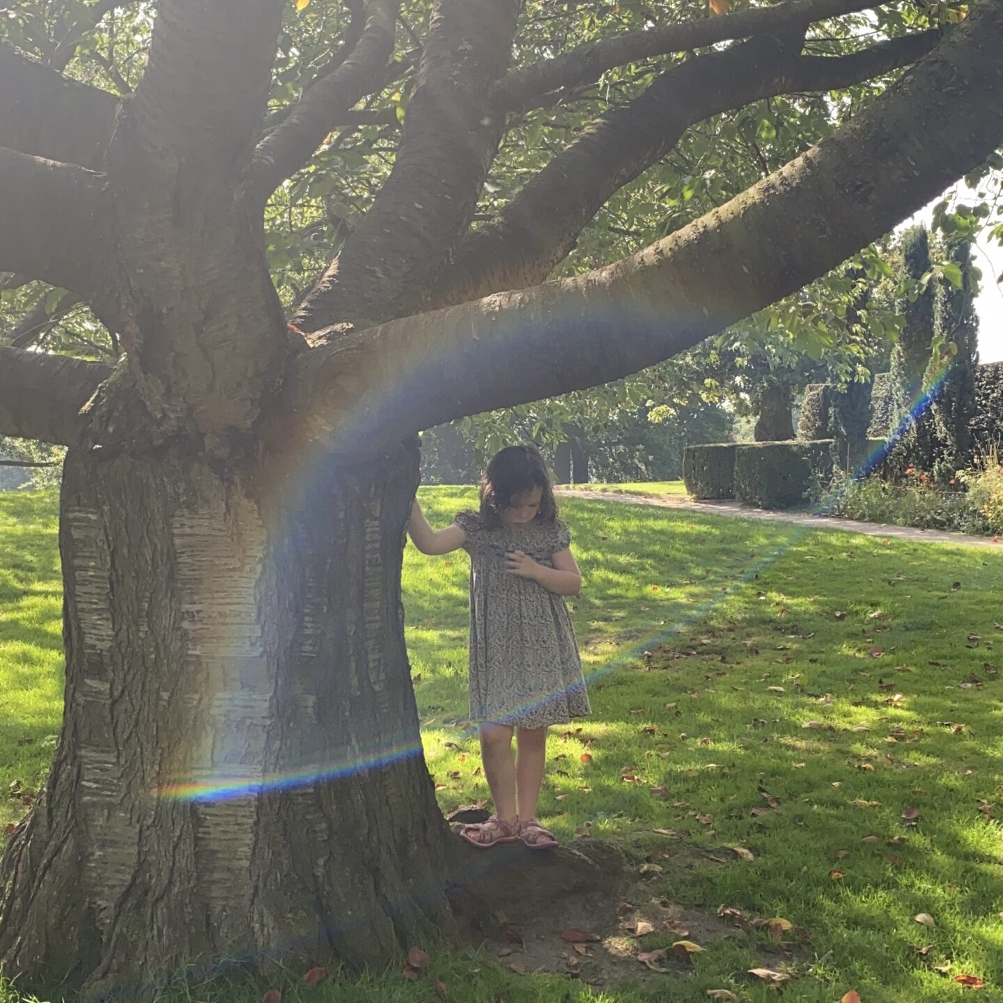 young girl by a tree